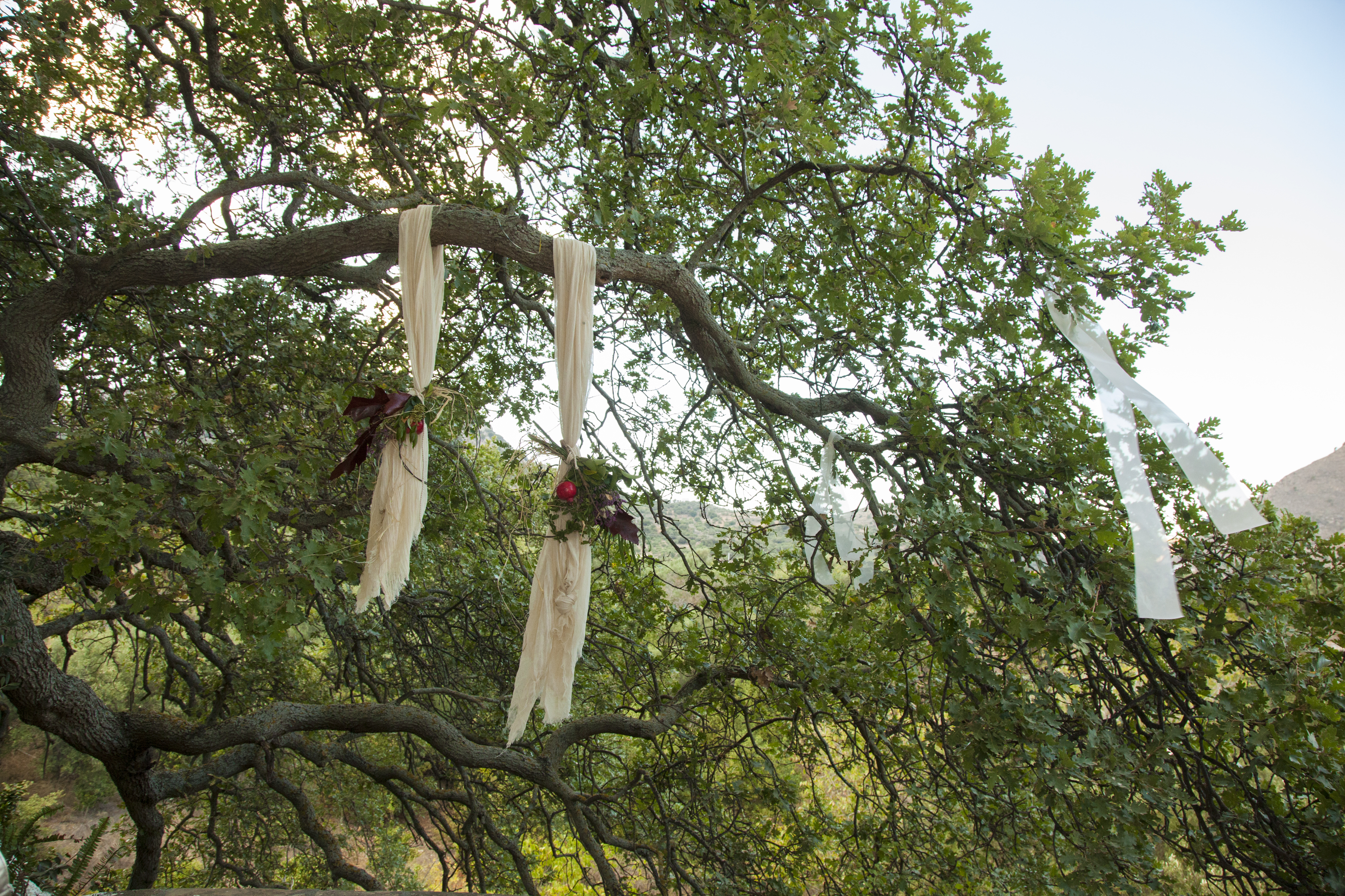 Νίκος & Κατερίνα