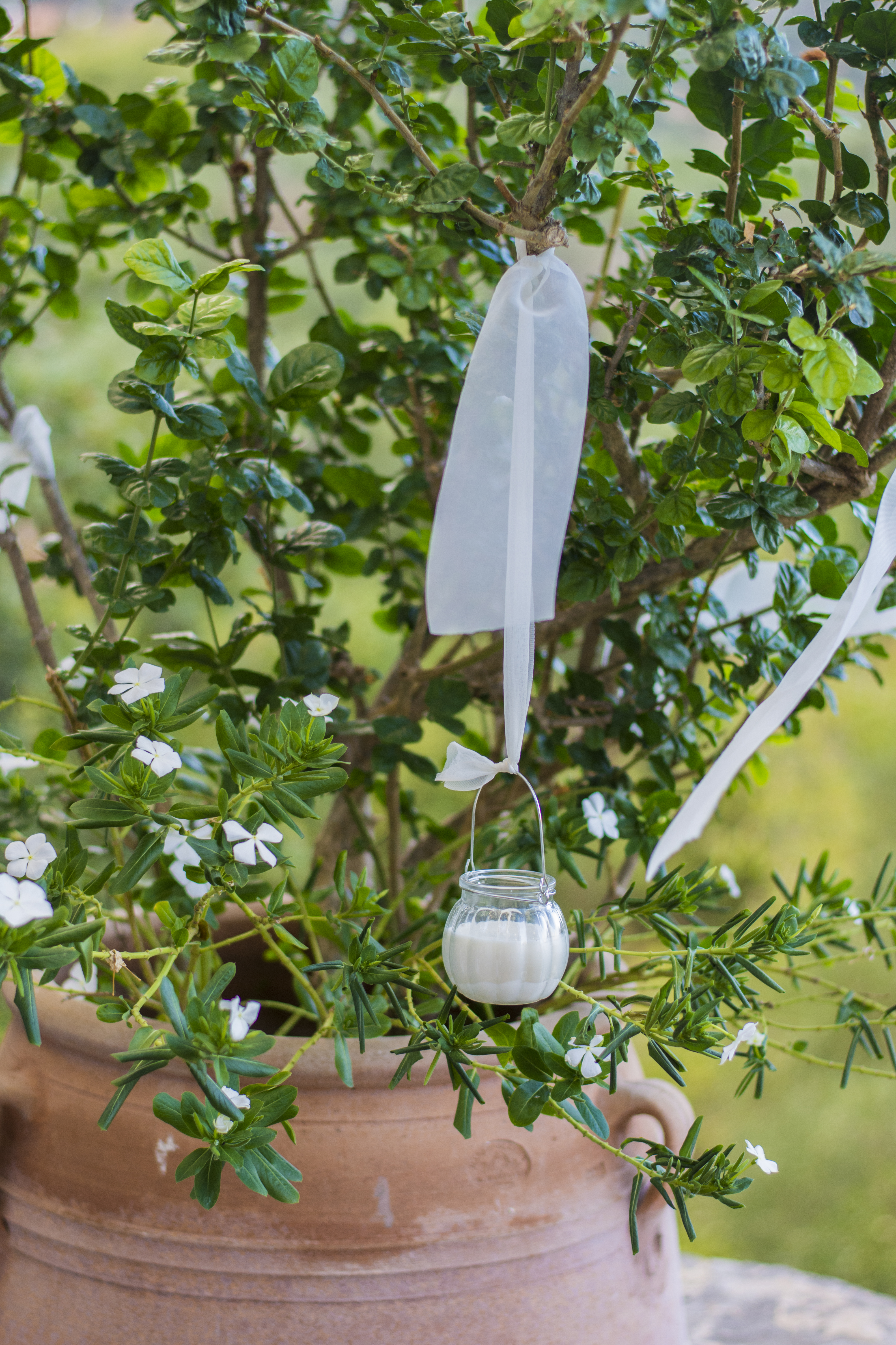 Νίκος & Κατερίνα