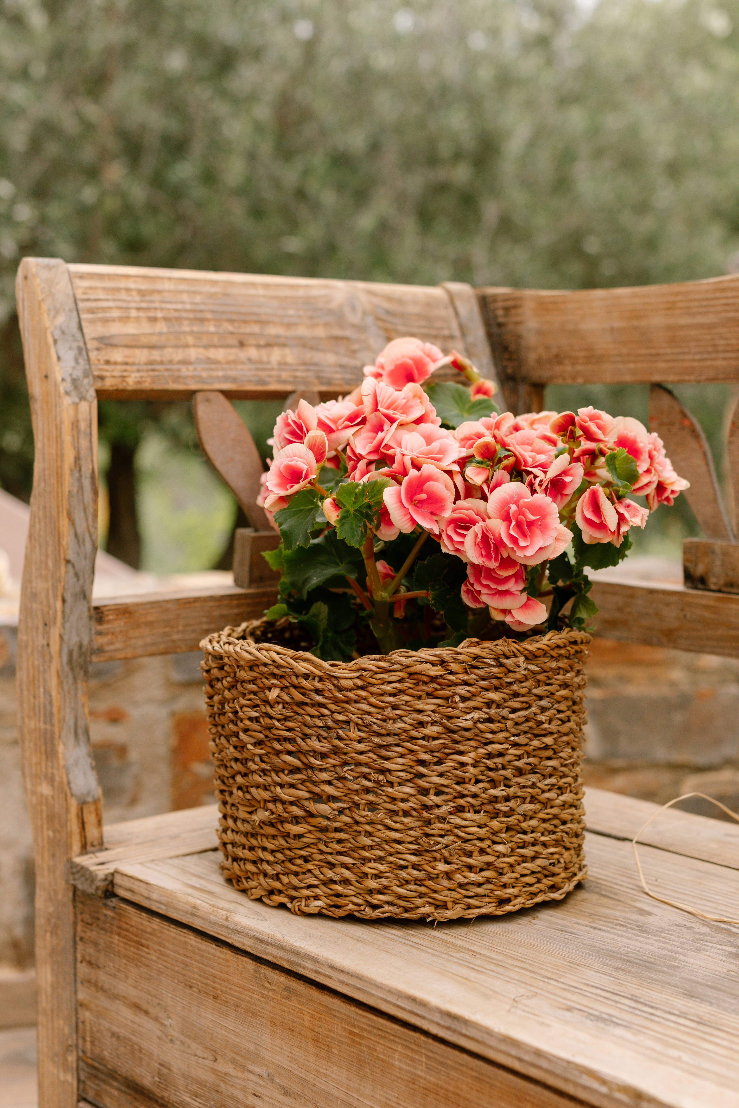 Τα Γενέθλια της Βικτώριας