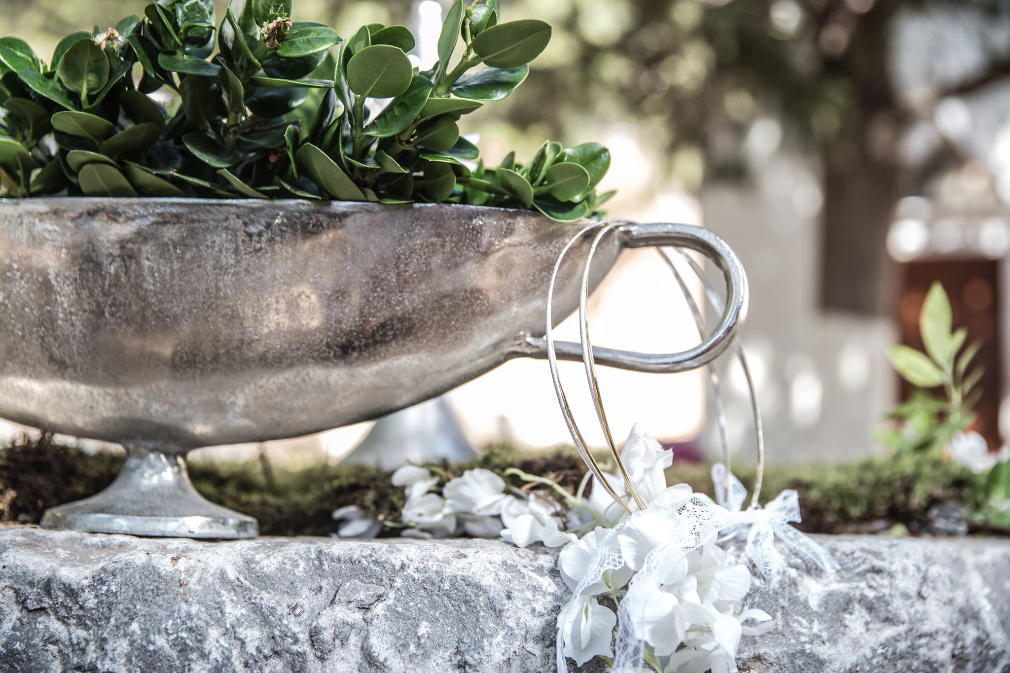 Γάμος στο Δάσος