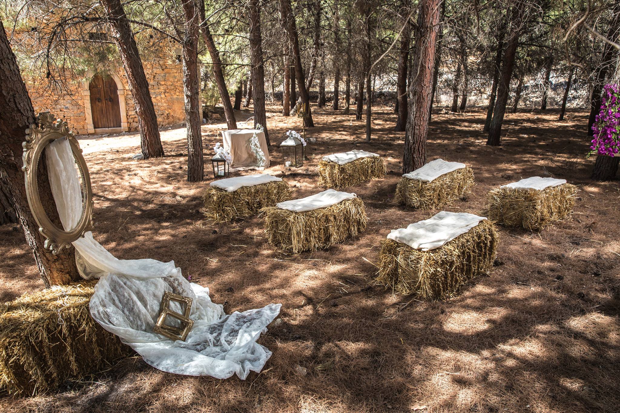 Γάμος στο Δάσος