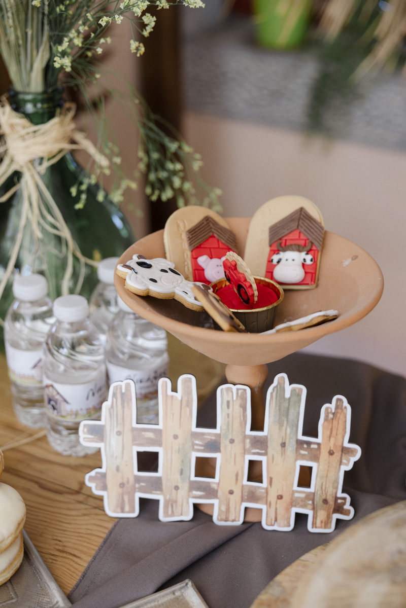 Η Βάπτιση του Νικόλα