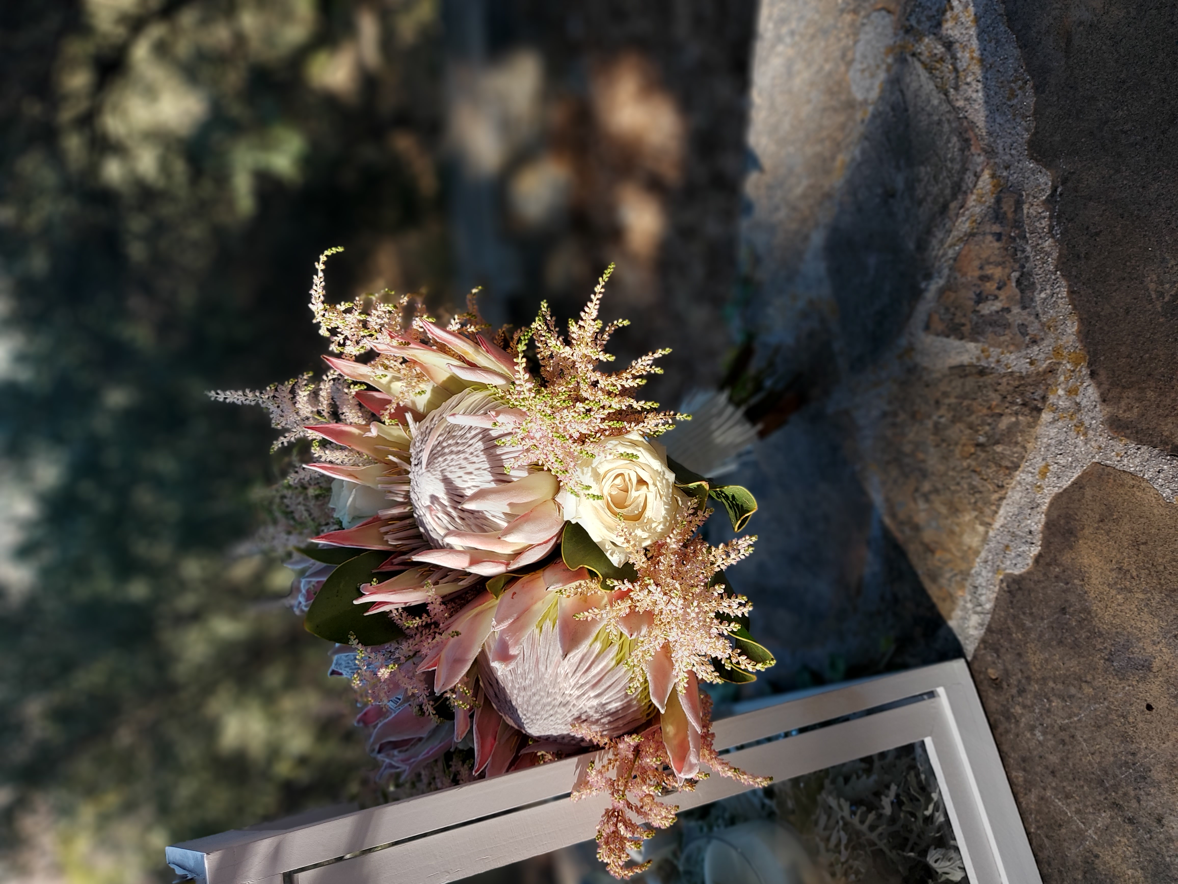 ATHENA CREATIONS - Πρωτέας 