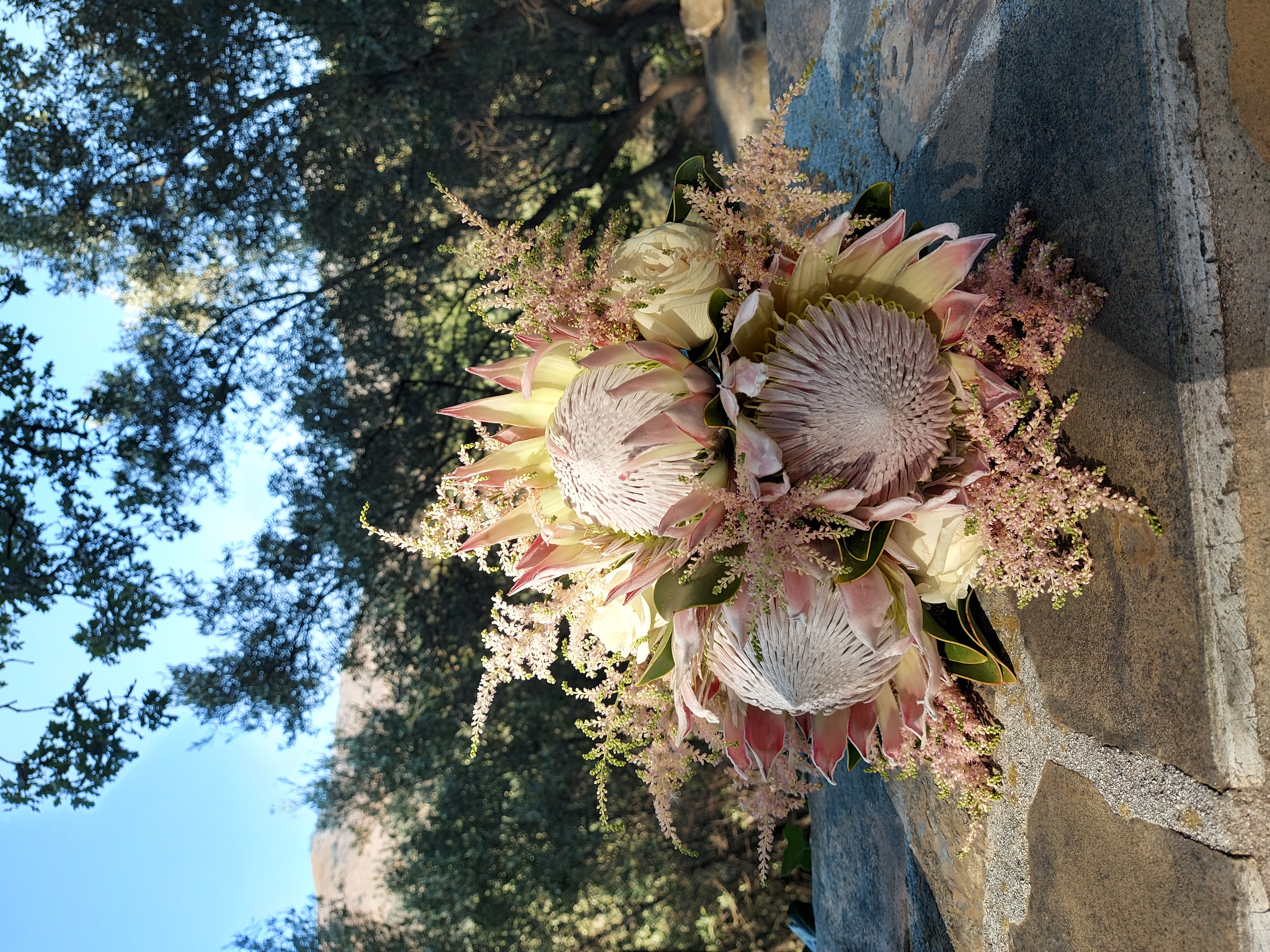 ATHENA CREATIONS - Πρωτέας 