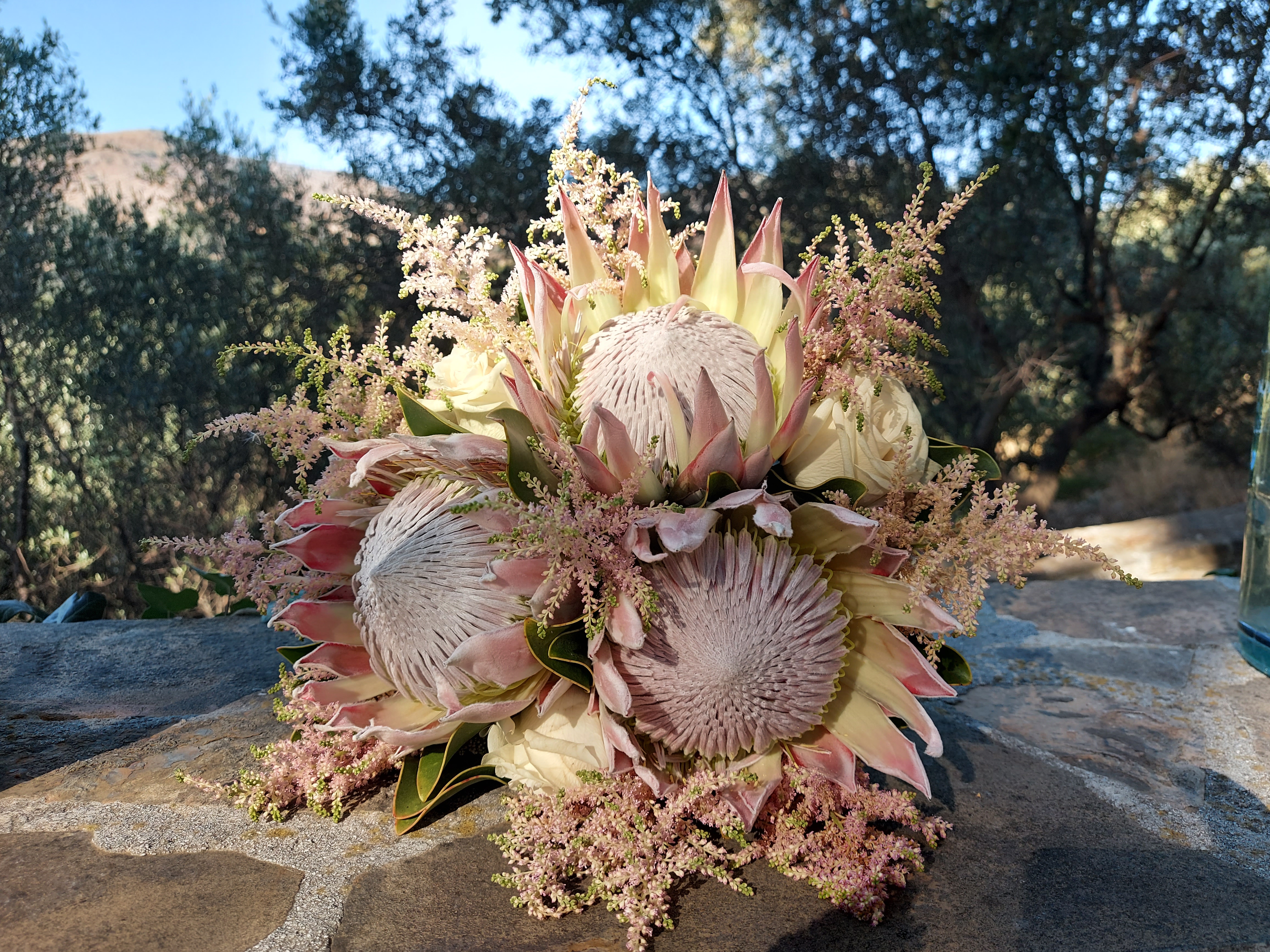 ATHENA CREATIONS - Πρωτέας 