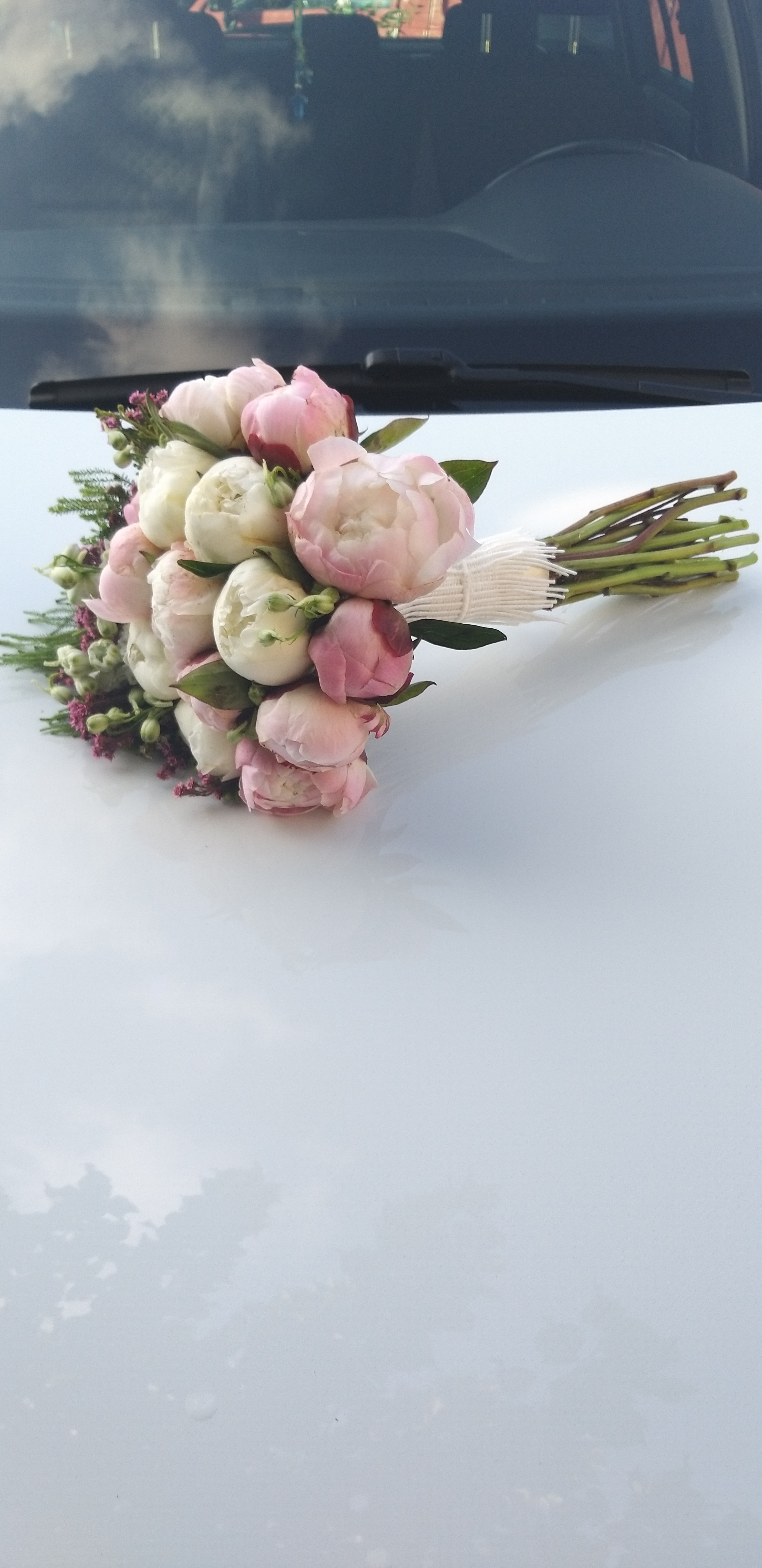 ATHENA CREATIONS - peonies