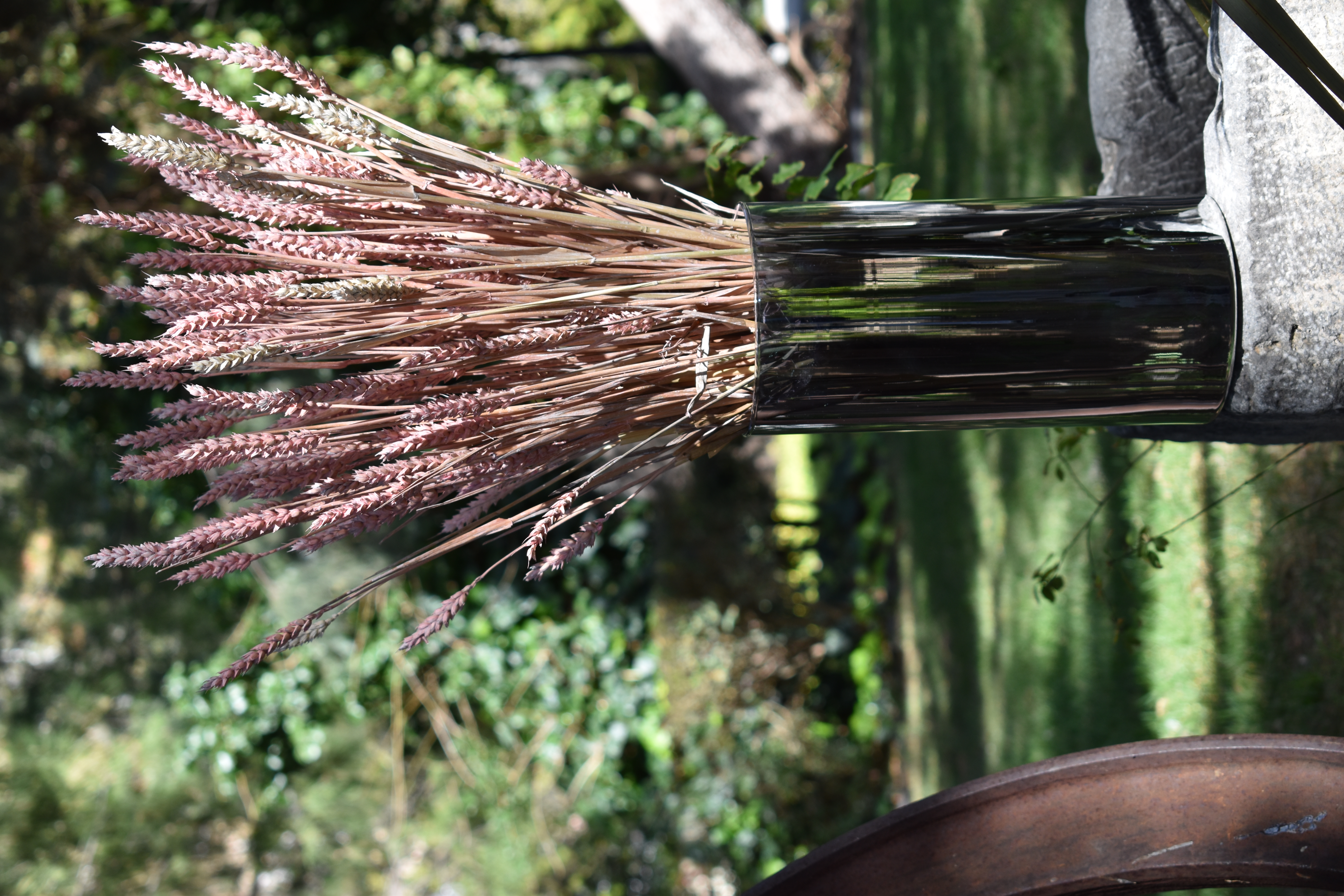 ATHENA CREATIONS - Στάχυα Αποξηραμένα