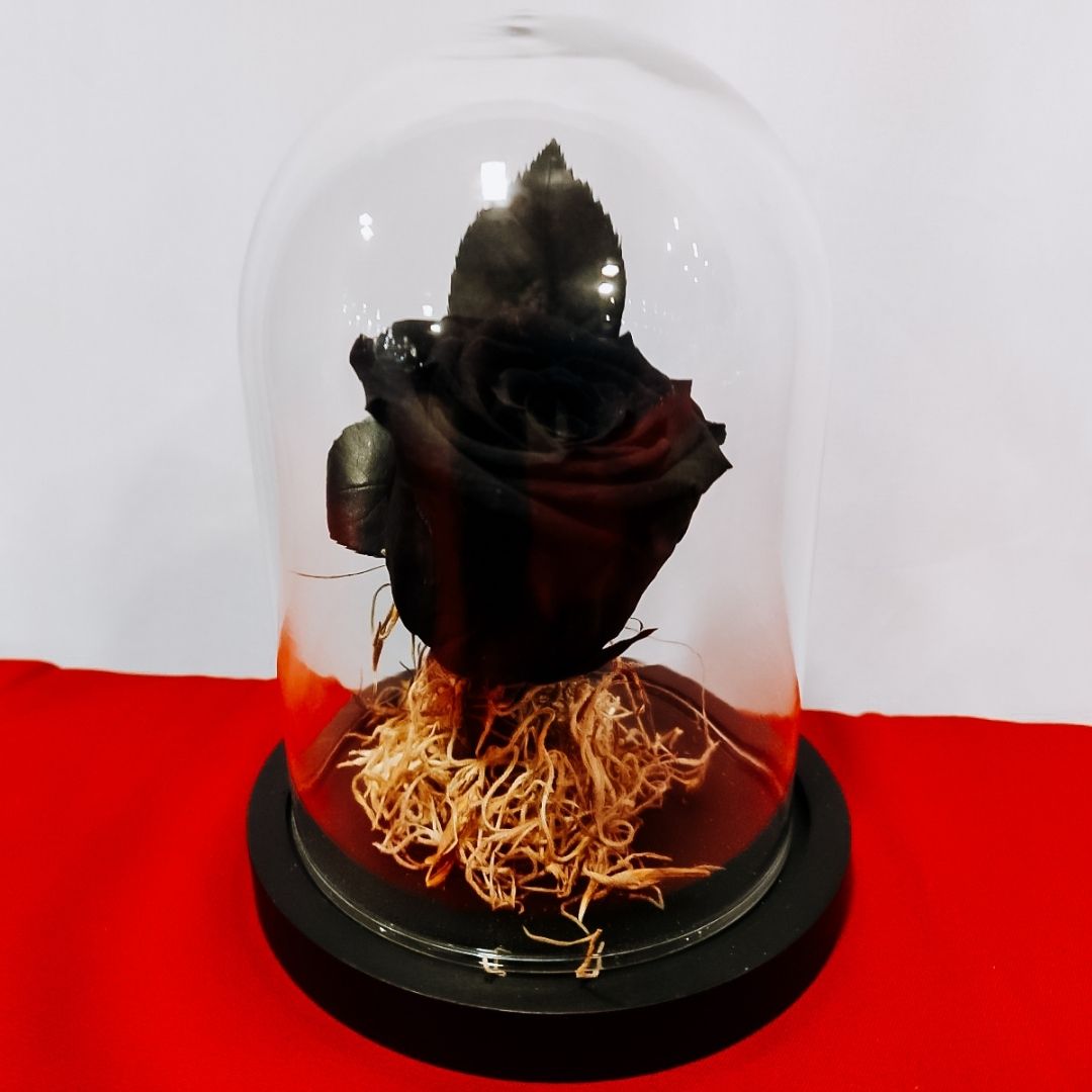 Black Forever Rose