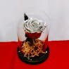 ATHENA CREATIONS - Silver Forever Rose