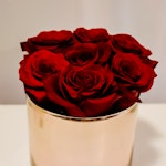 Τριαντάφυλλα σε Rosegold Κασπώ