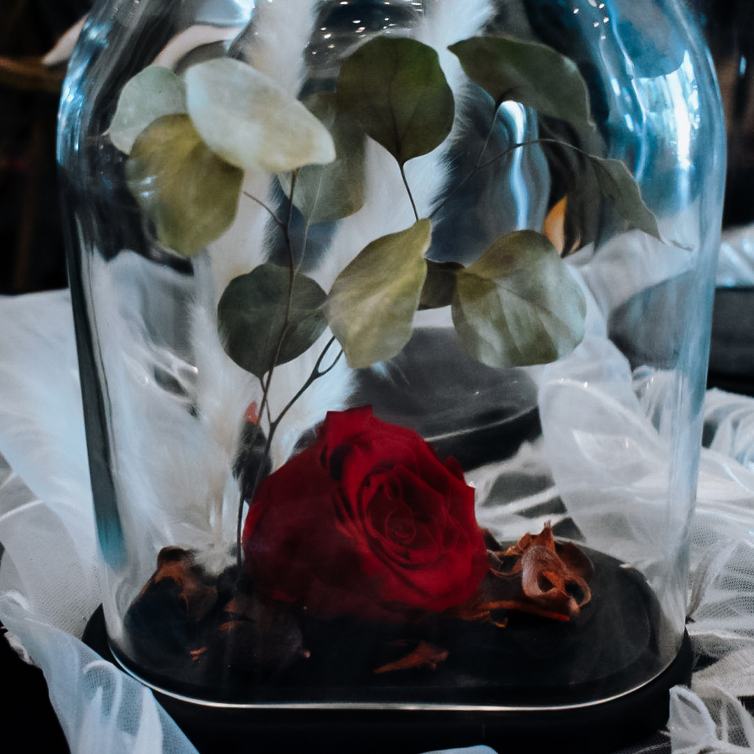 Σύνθεση Καμπάνα Forever Rose