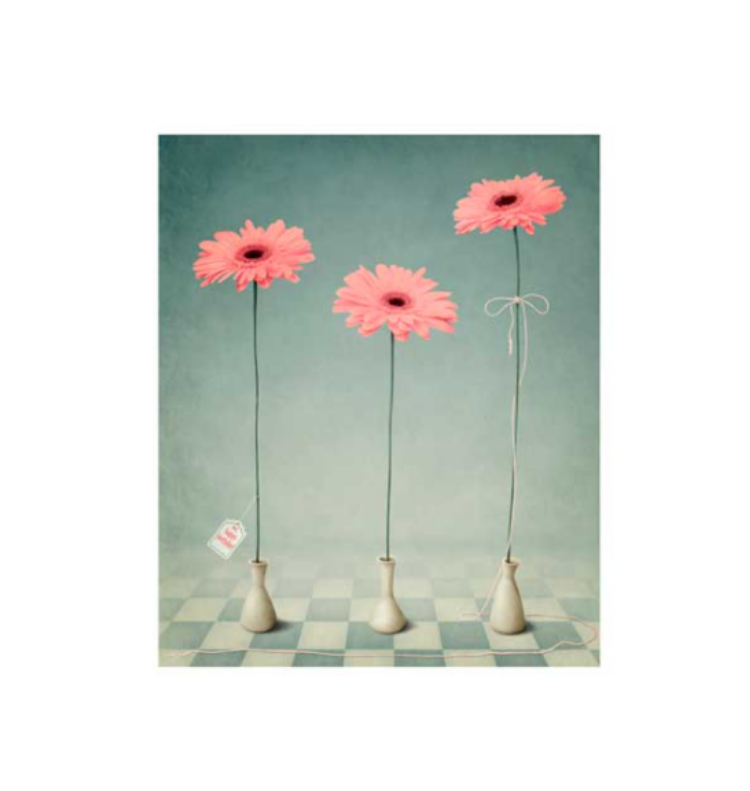 ATHENA CREATIONS - Ευχετήρια Κάρτα Χωρίς Μήνυμα Flowers