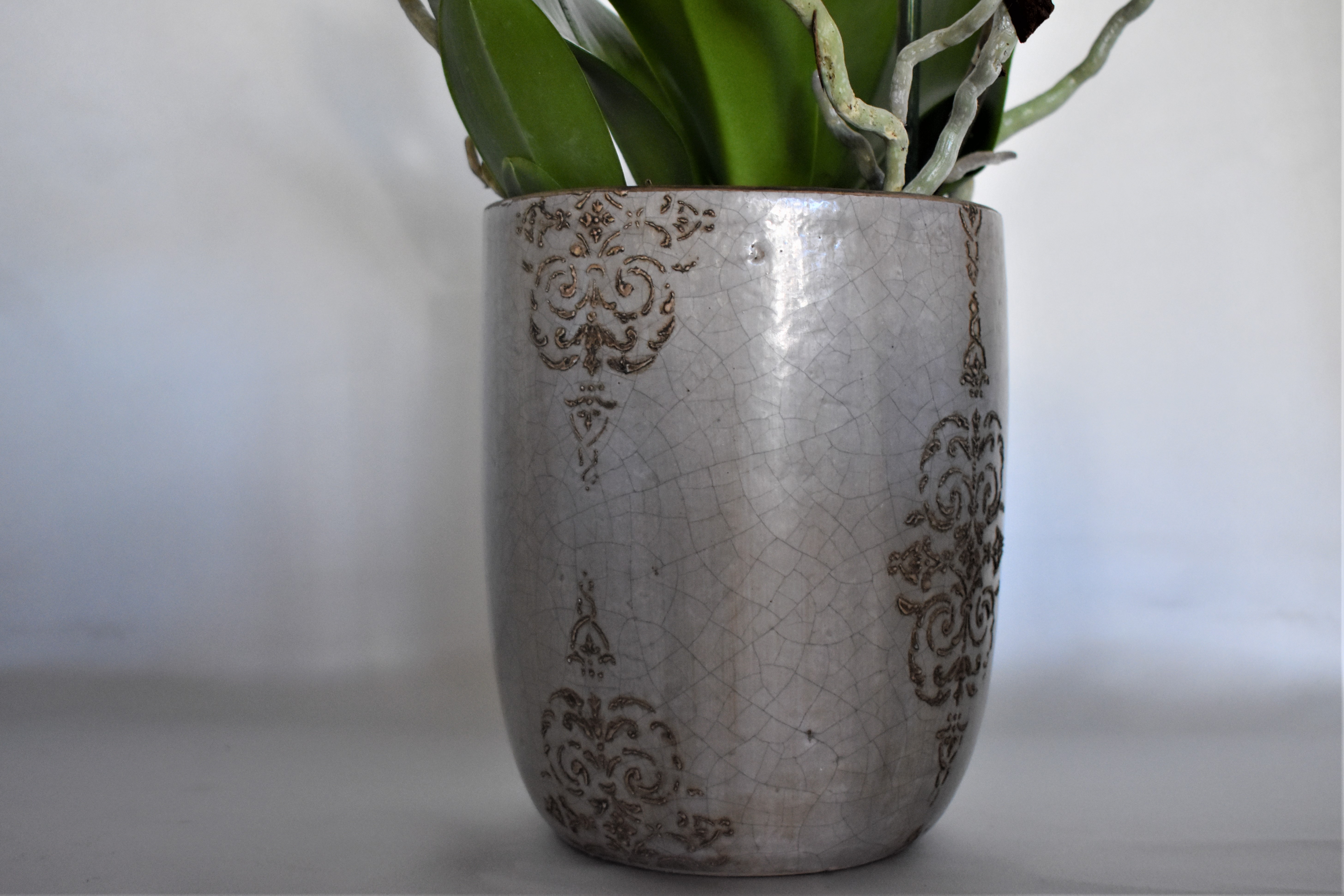 ATHENA CREATIONS - Λευκή Ορχιδέα Φαλαίνοψις σε Ασημί Κασπώ