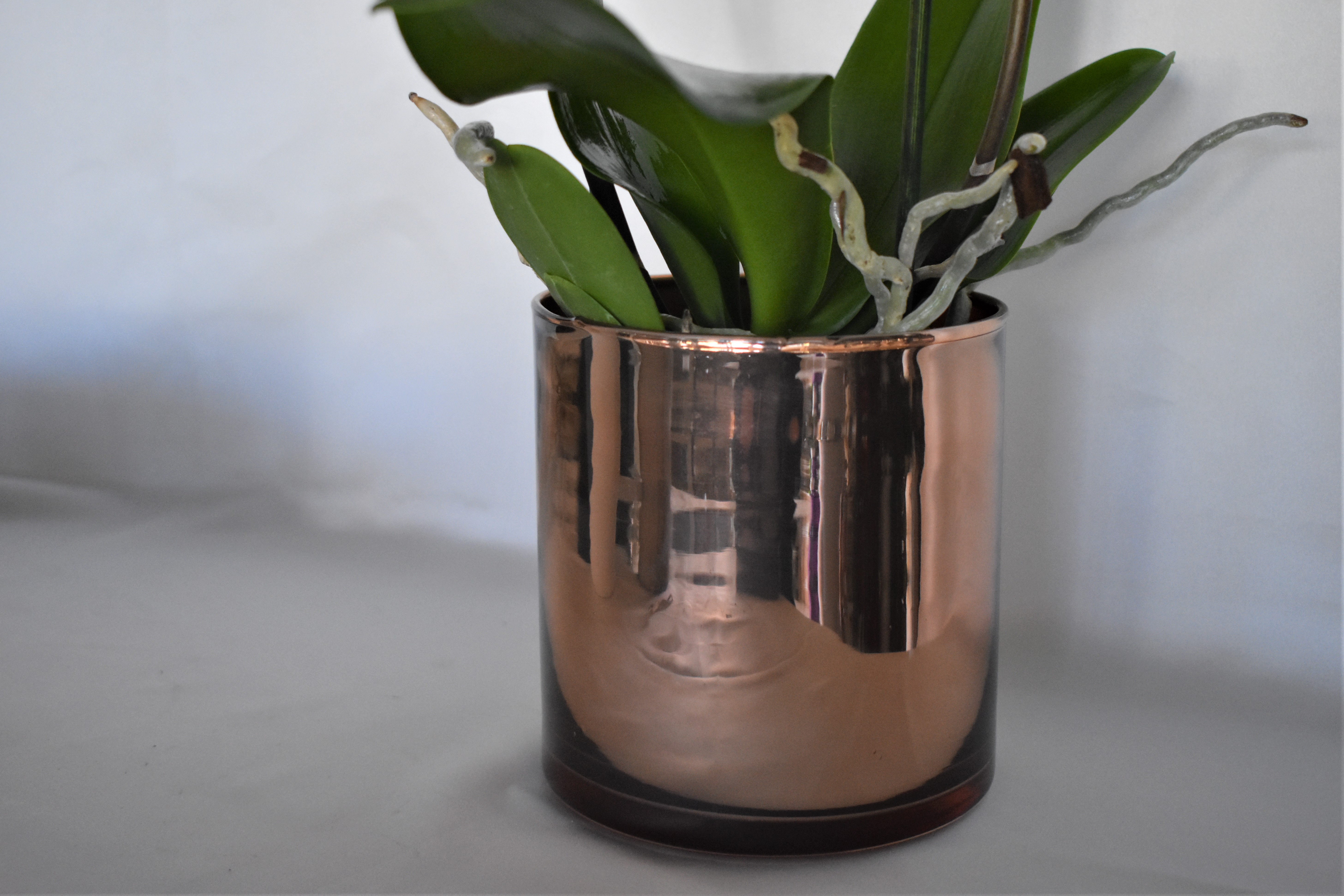 ATHENA CREATIONS - Λευκή Ορχιδέα σε Rose Gold Κασπώ