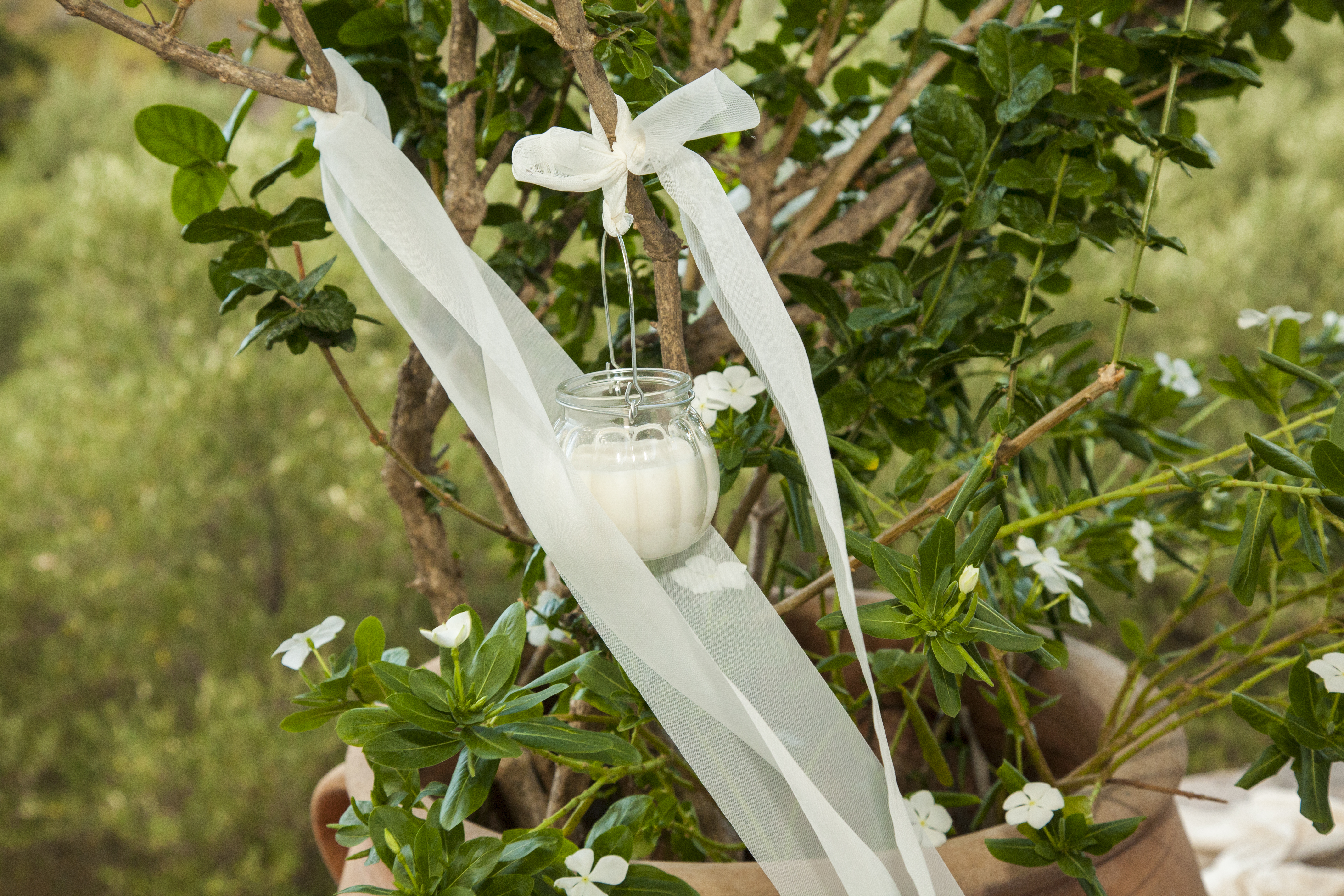 Νίκος & Κατερίνα