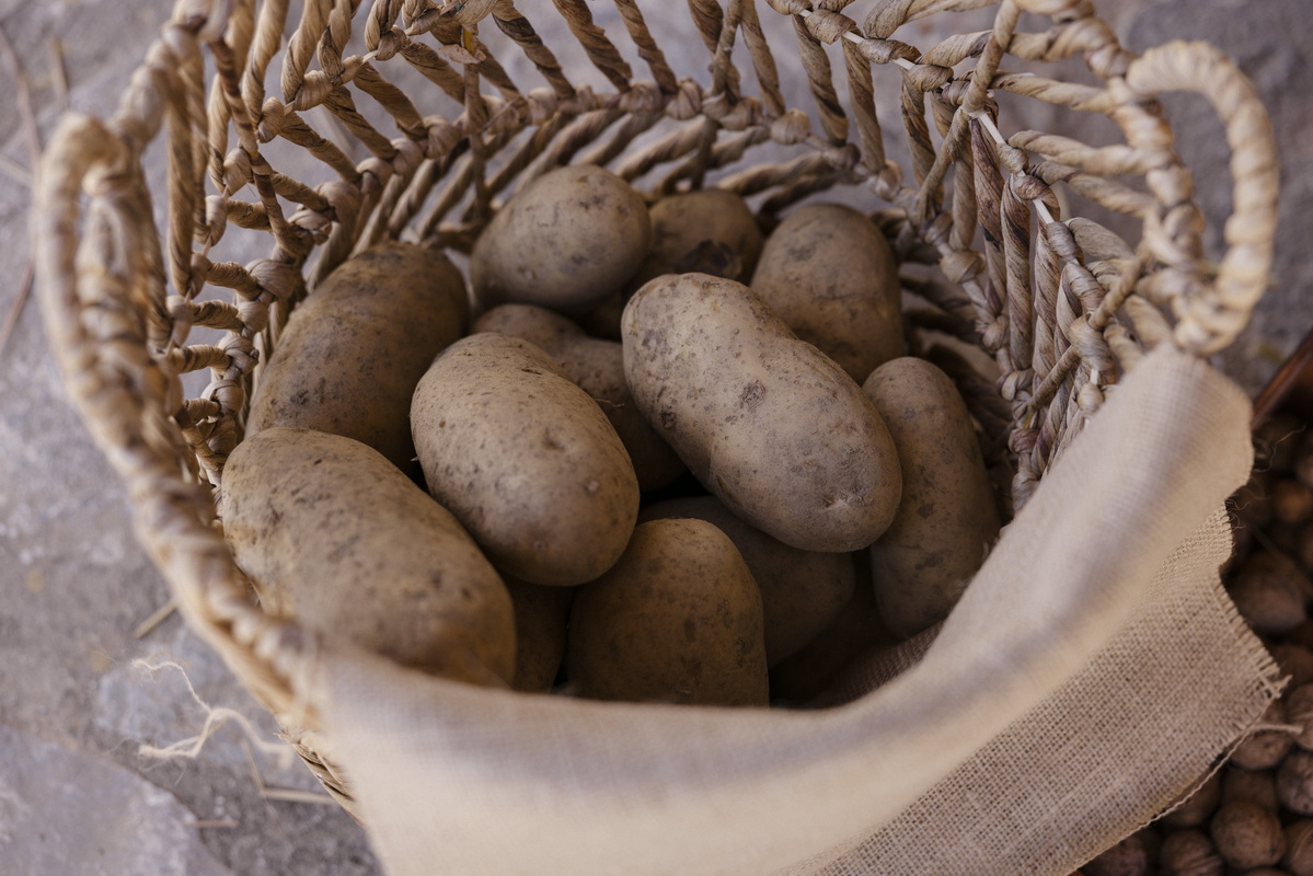 Η Βάπτιση του Νικόλα