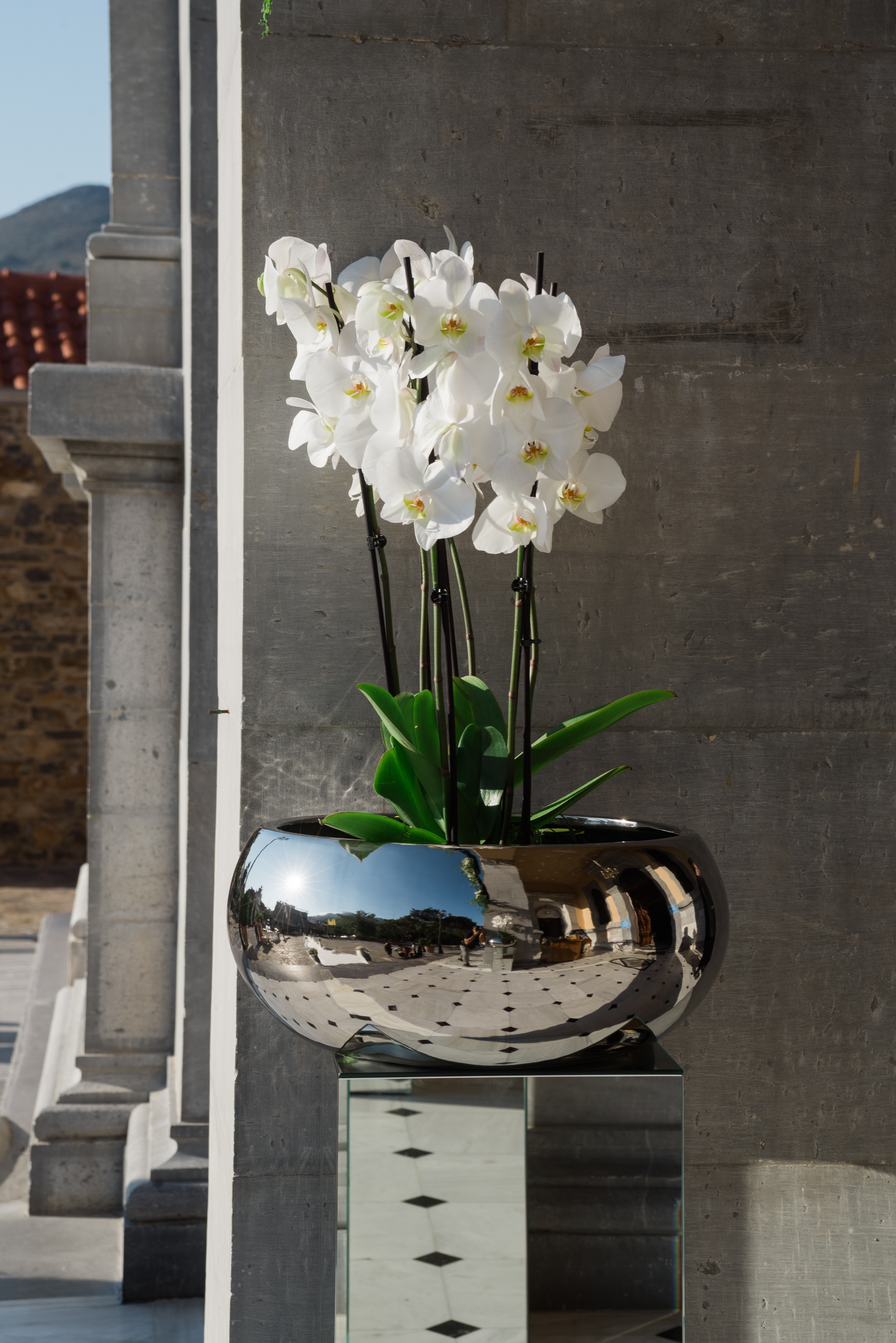 Γάμος Μιχάλη & Δέσποινας