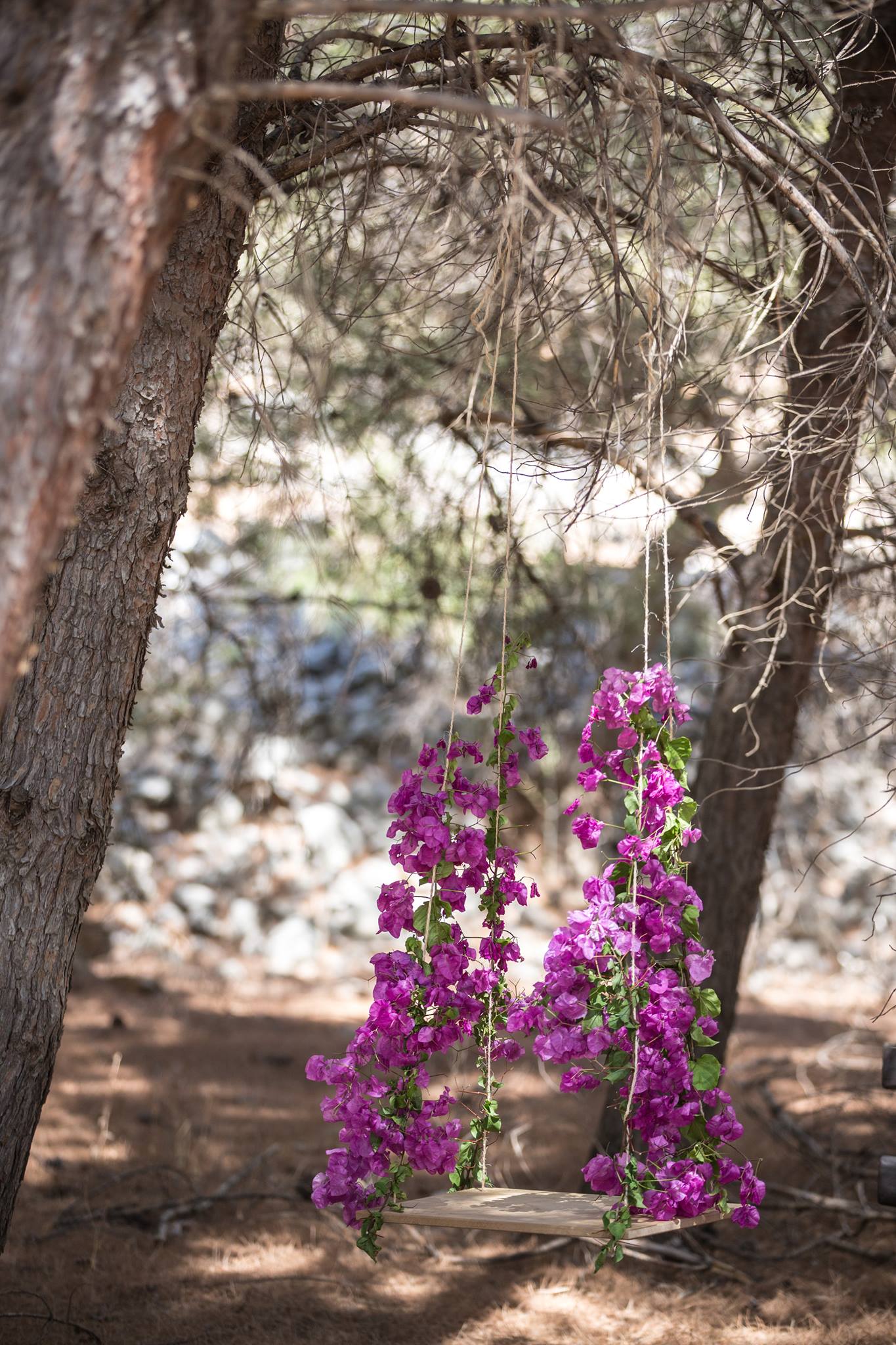 Γάμος στο Δάσος