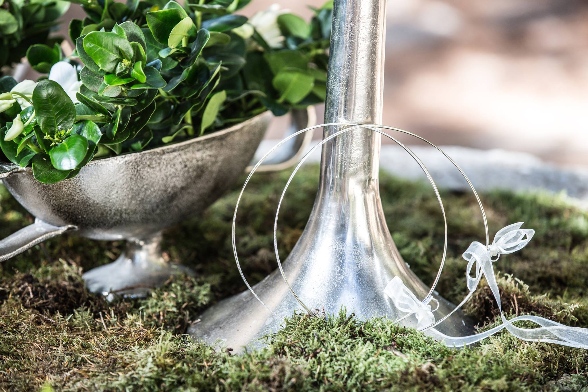 Γάμος στο Δάσος