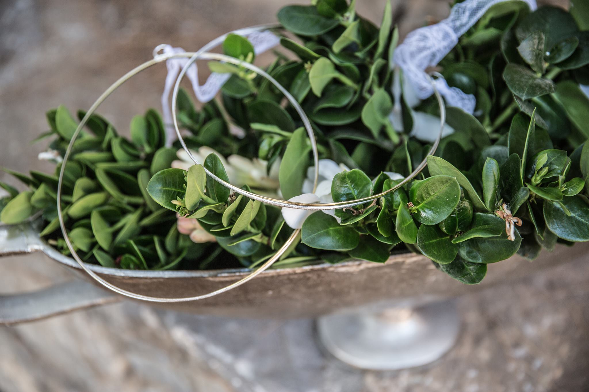 Γάμος στο Δάσος