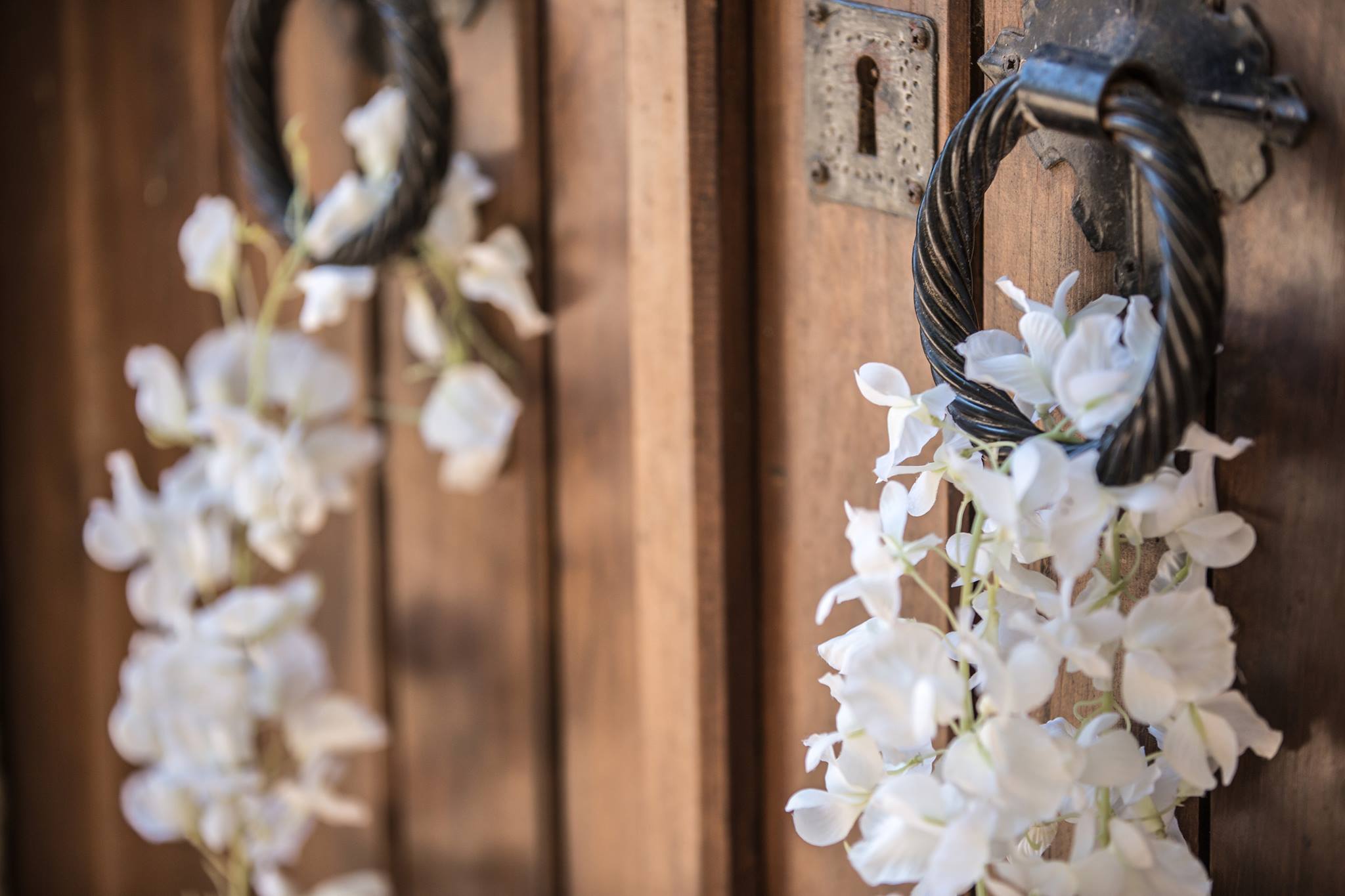 Γάμος στο Δάσος