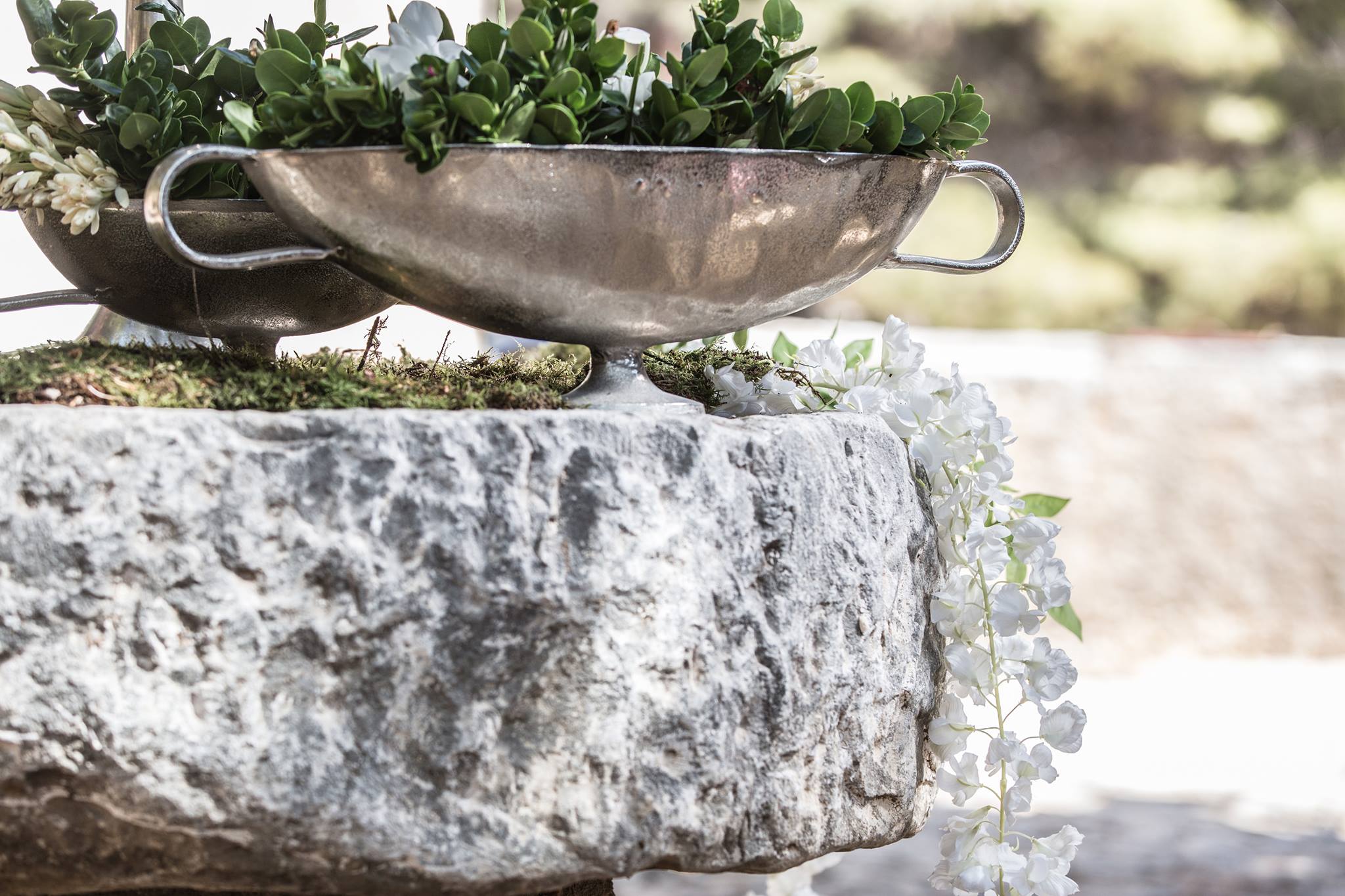 Γάμος στο Δάσος