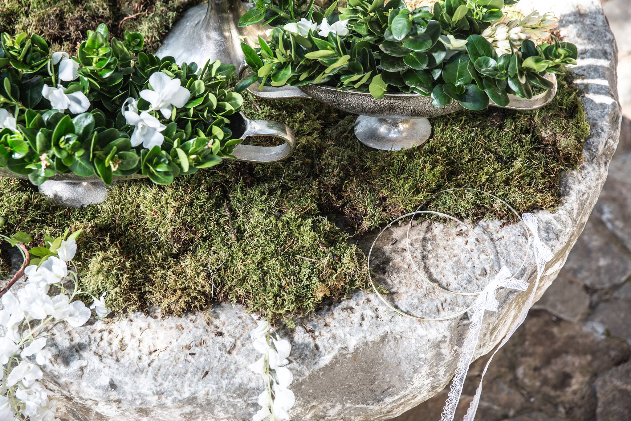 Γάμος στο Δάσος