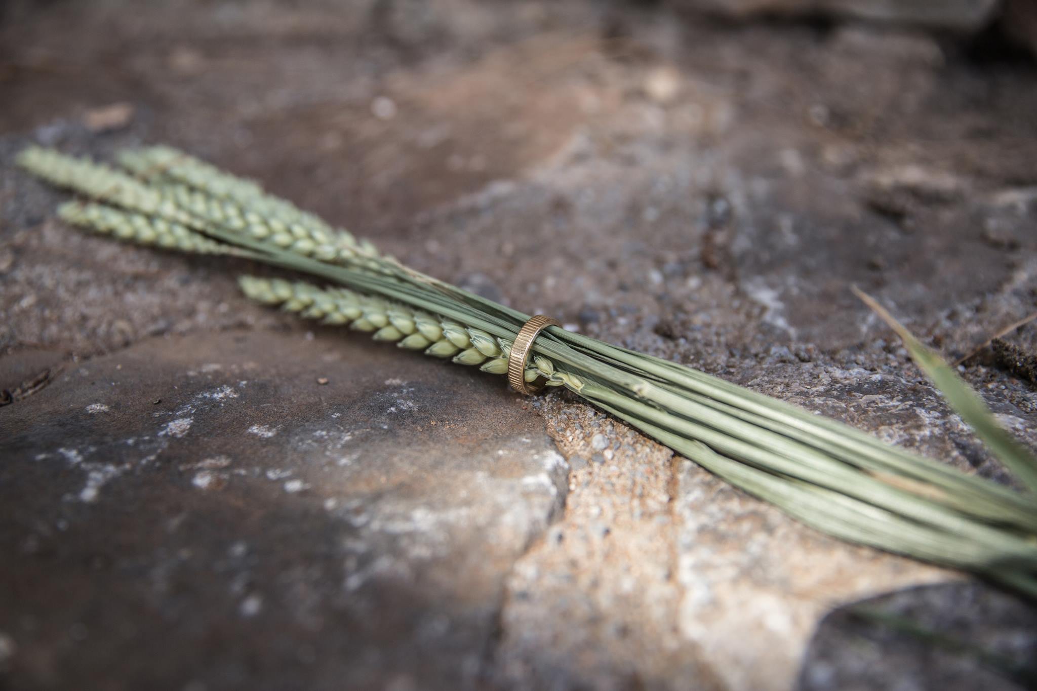 Γάμος στο Δάσος