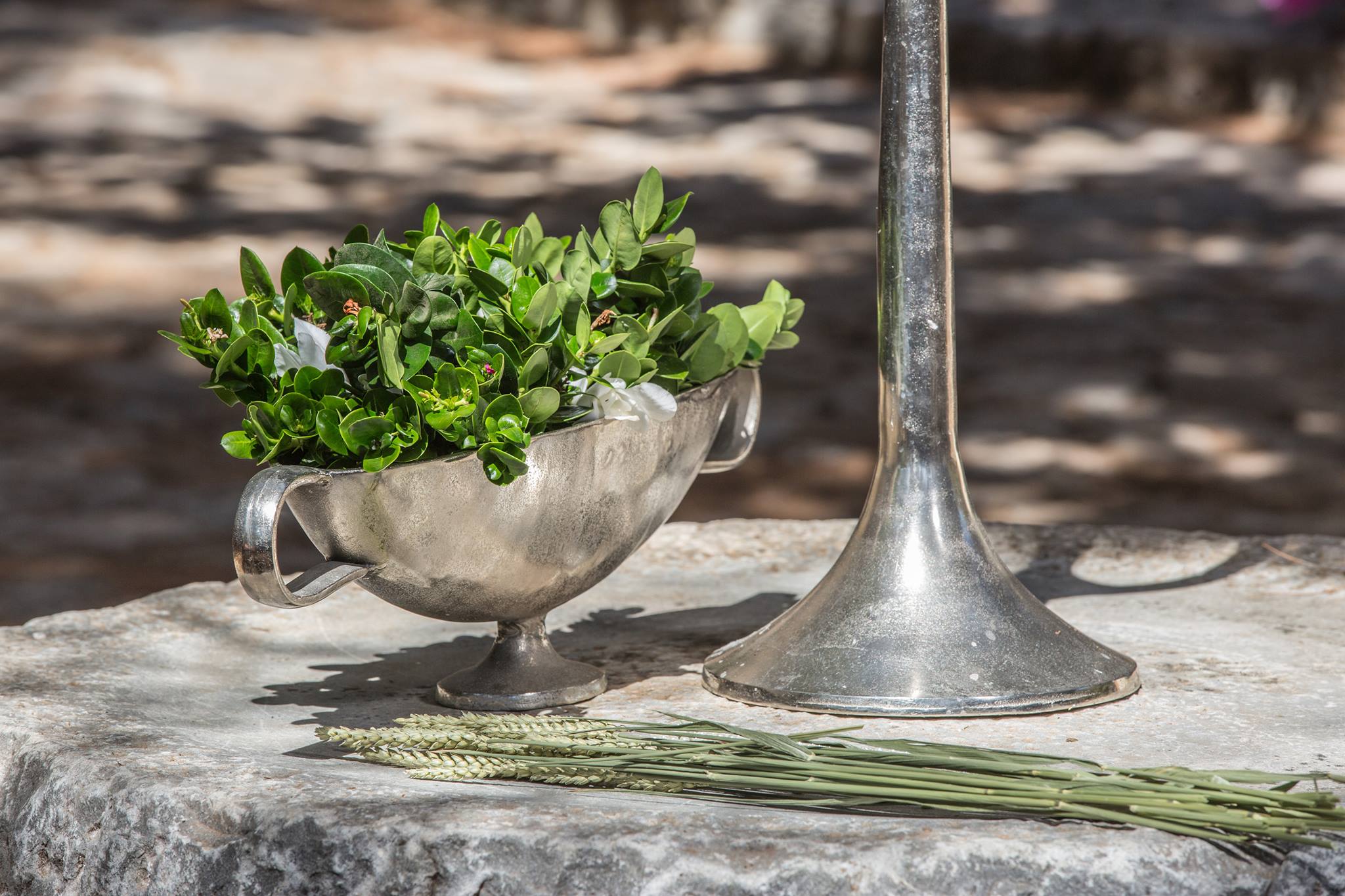 Γάμος στο Δάσος