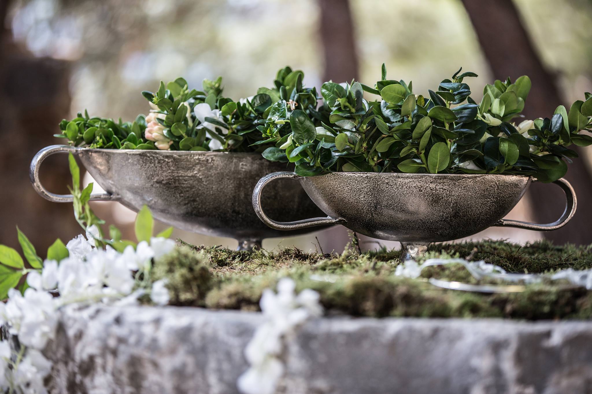 Γάμος στο Δάσος