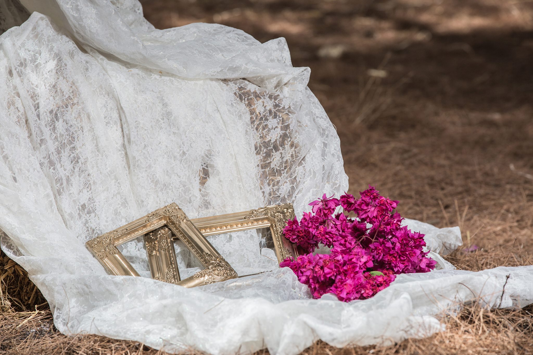 Γάμος στο Δάσος