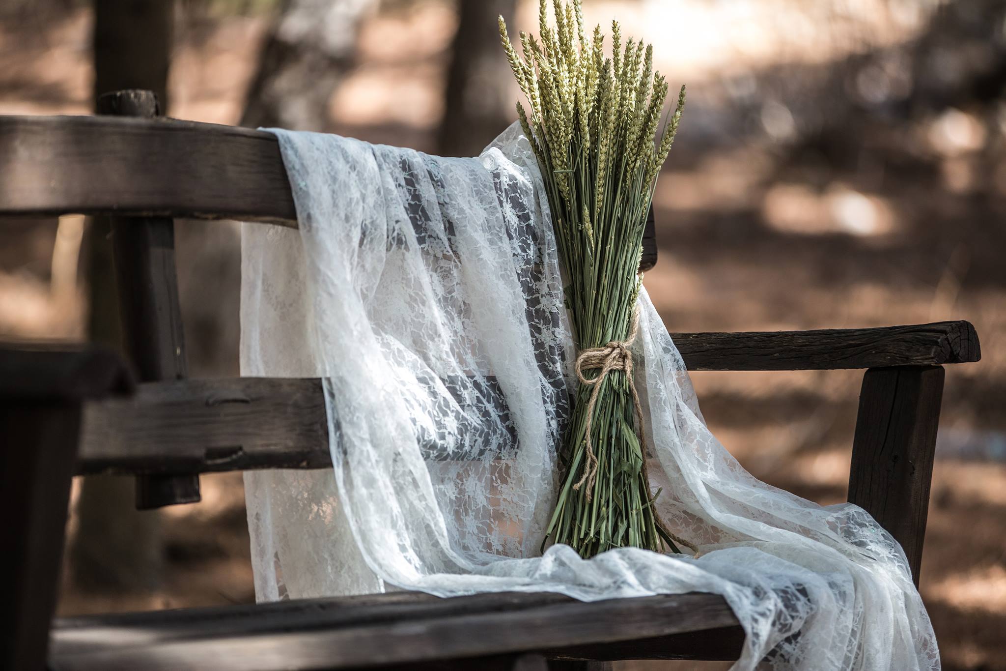 Γάμος στο Δάσος