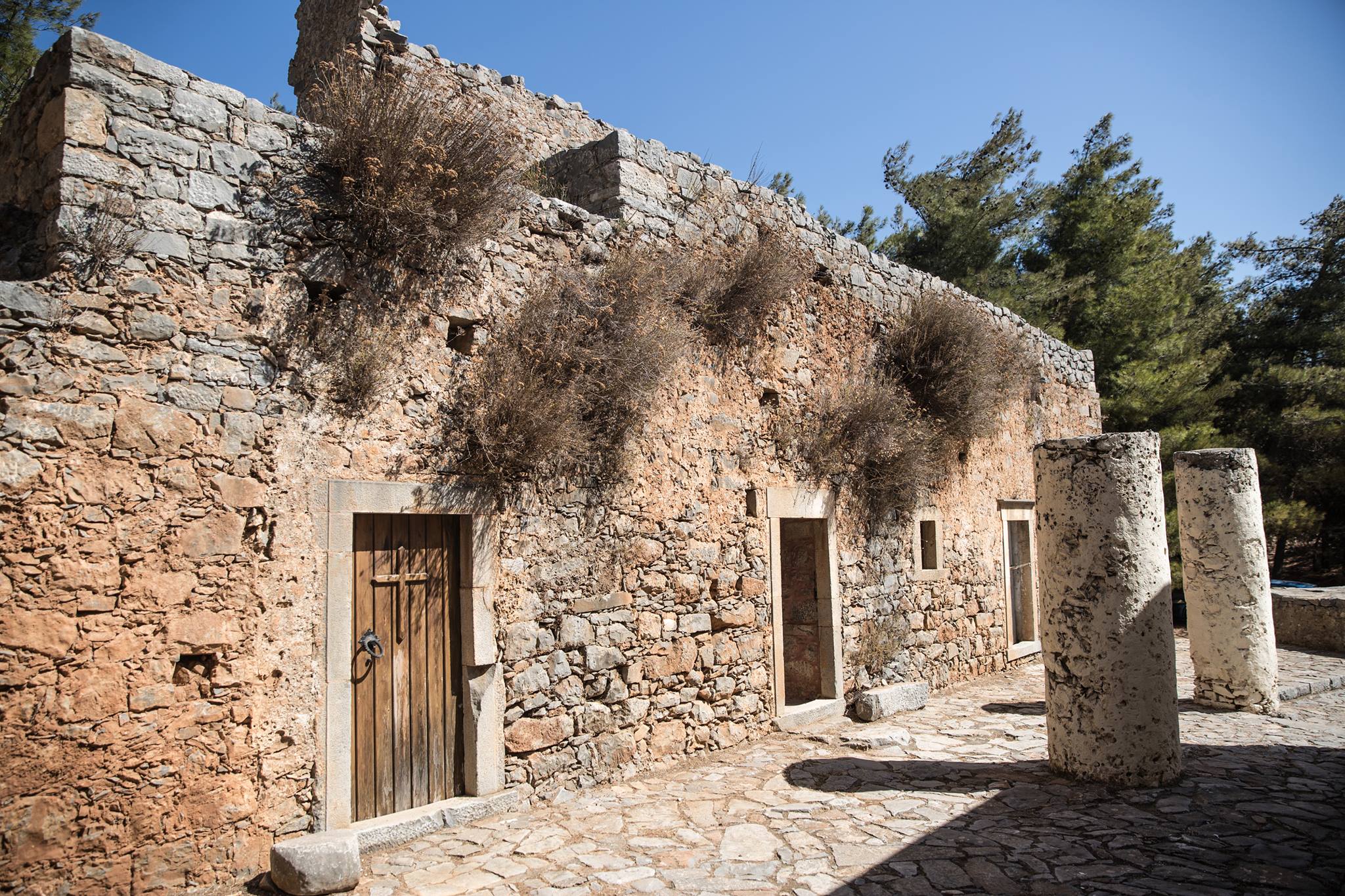 Γάμος στο Δάσος