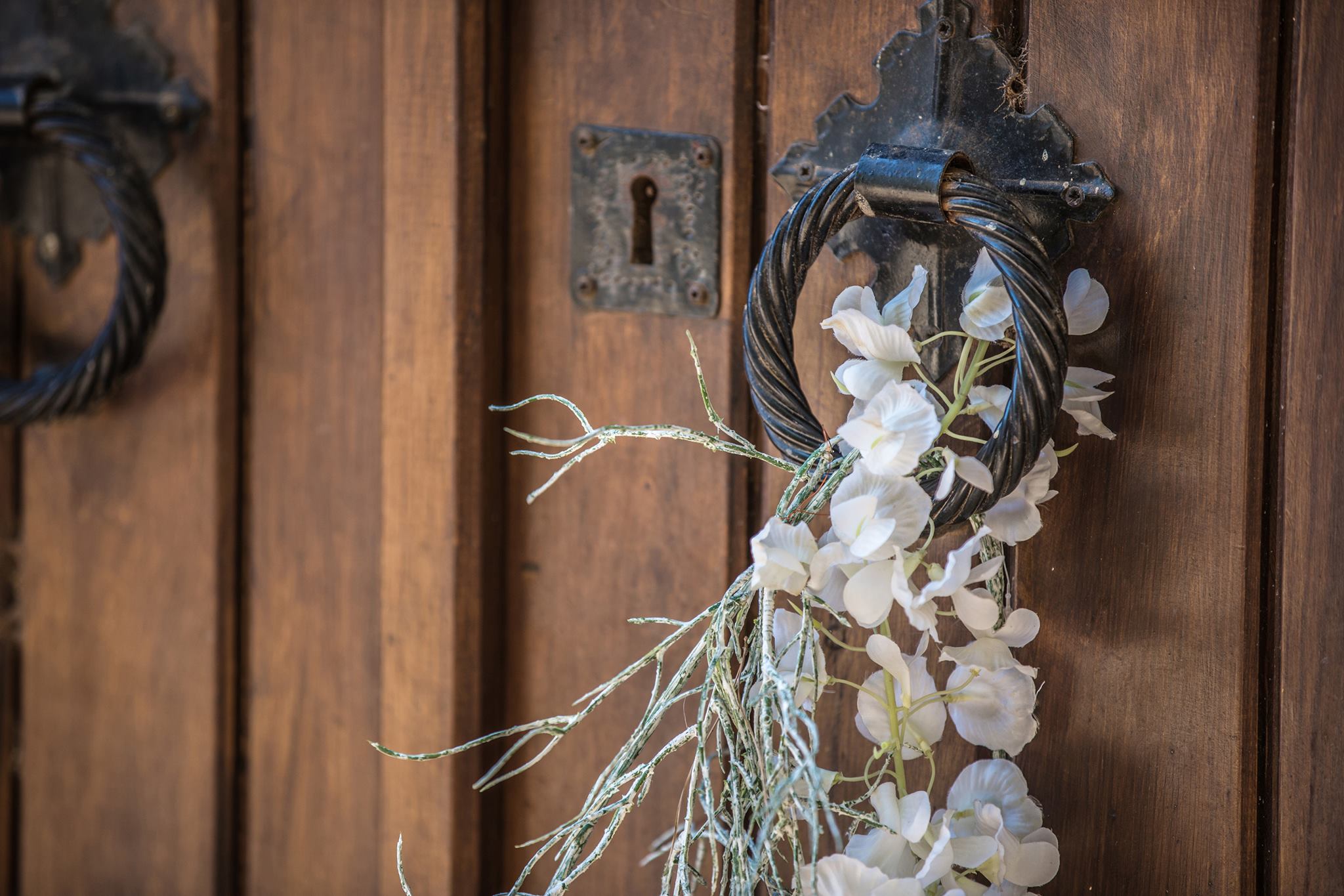 Γάμος στο Δάσος