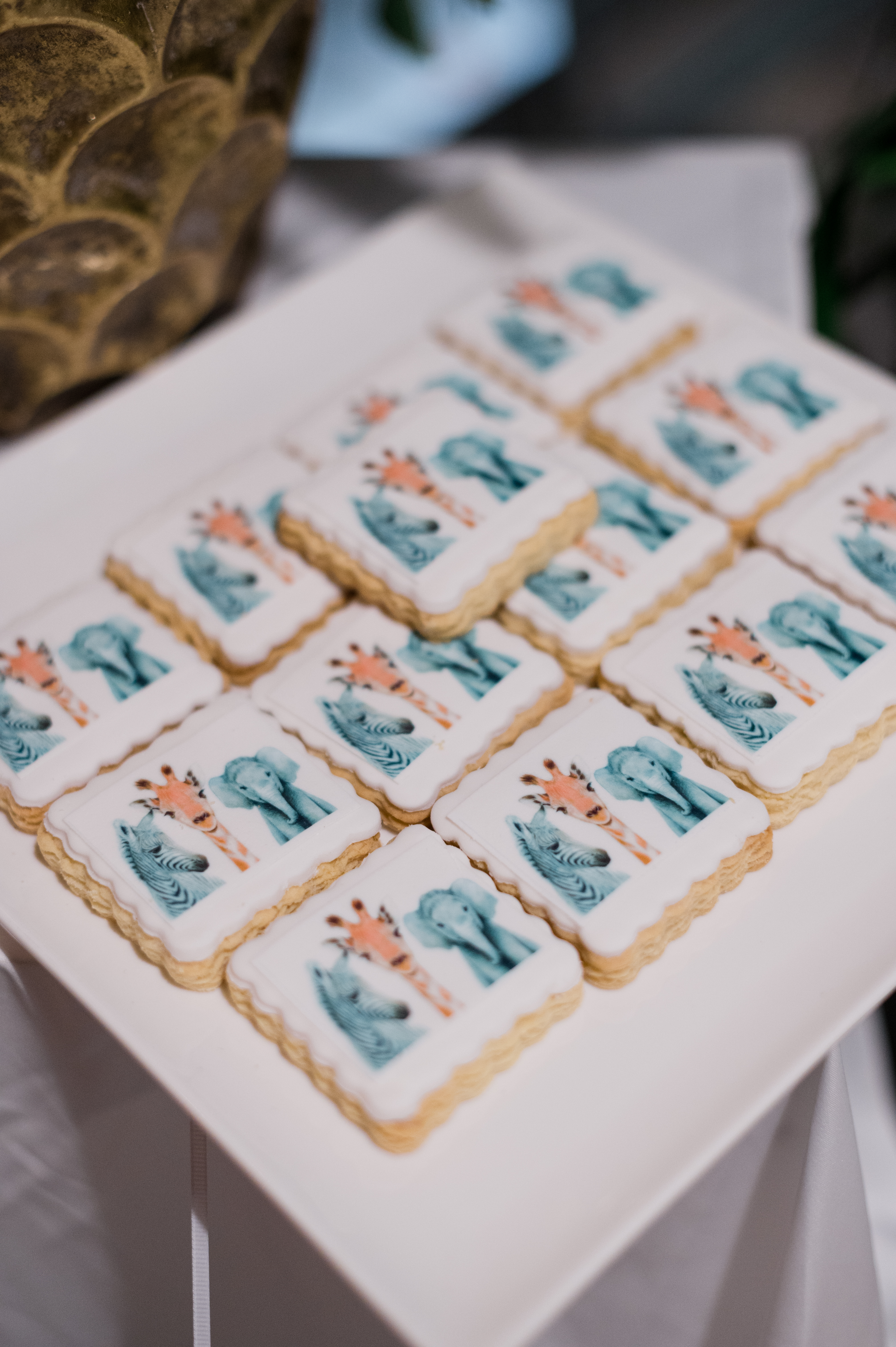 Η Βάπτιση του Κωνσταντίνου με θέμα Ζώα της Ζούγκλας