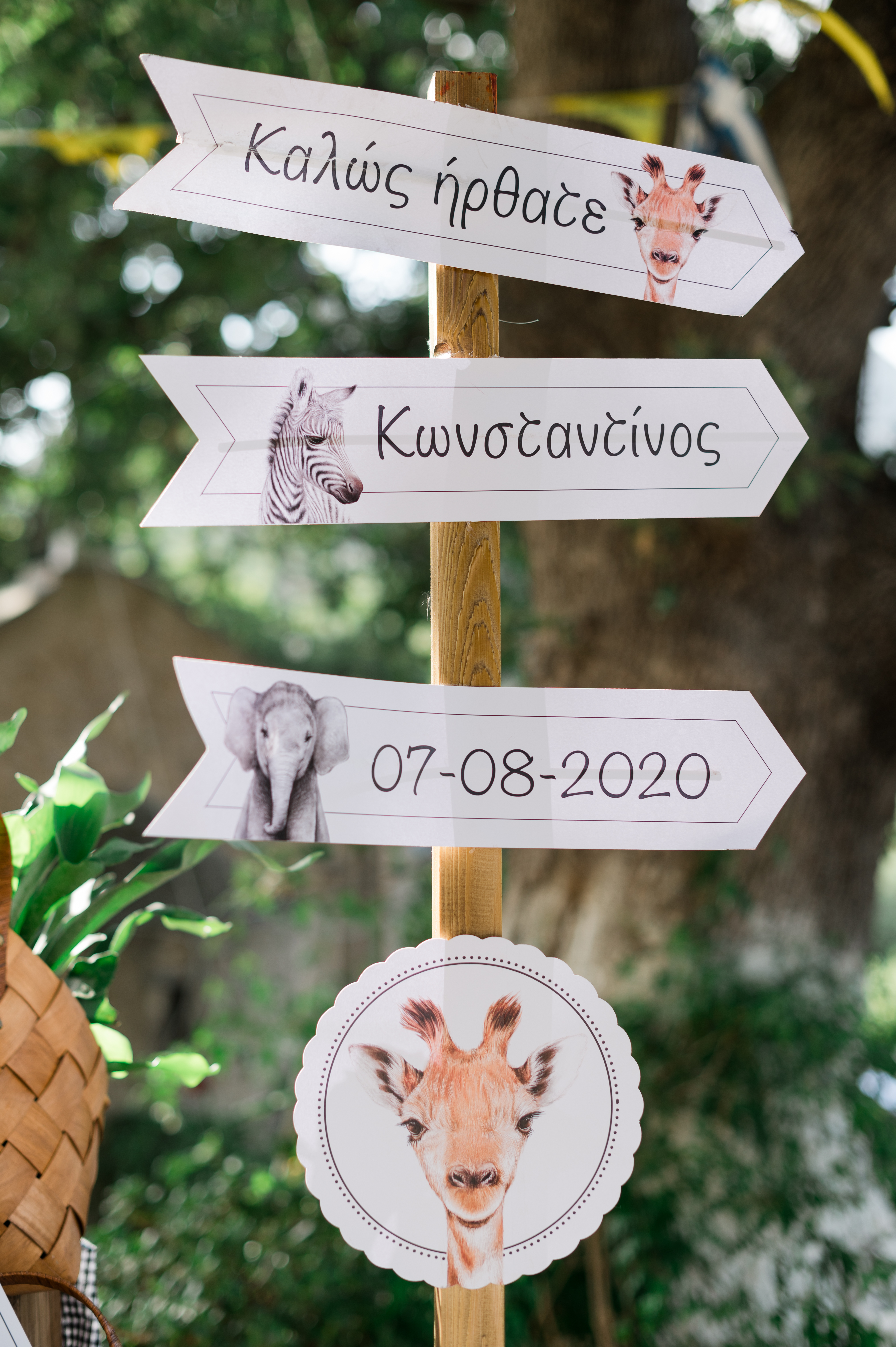 Η Βάπτιση του Κωνσταντίνου με θέμα Ζώα της Ζούγκλας