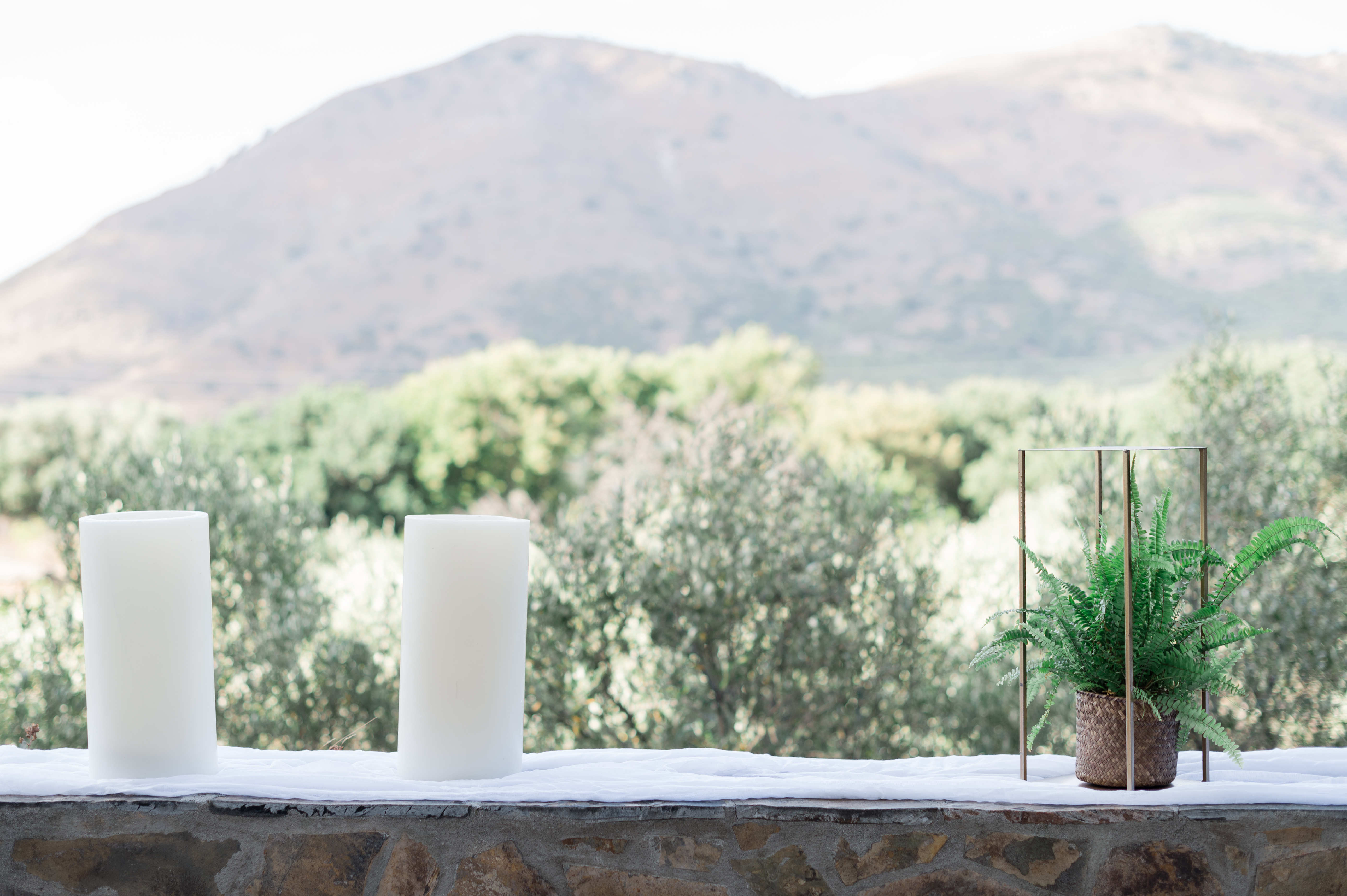 Η Βάπτιση του Κωνσταντίνου με θέμα Ζώα της Ζούγκλας