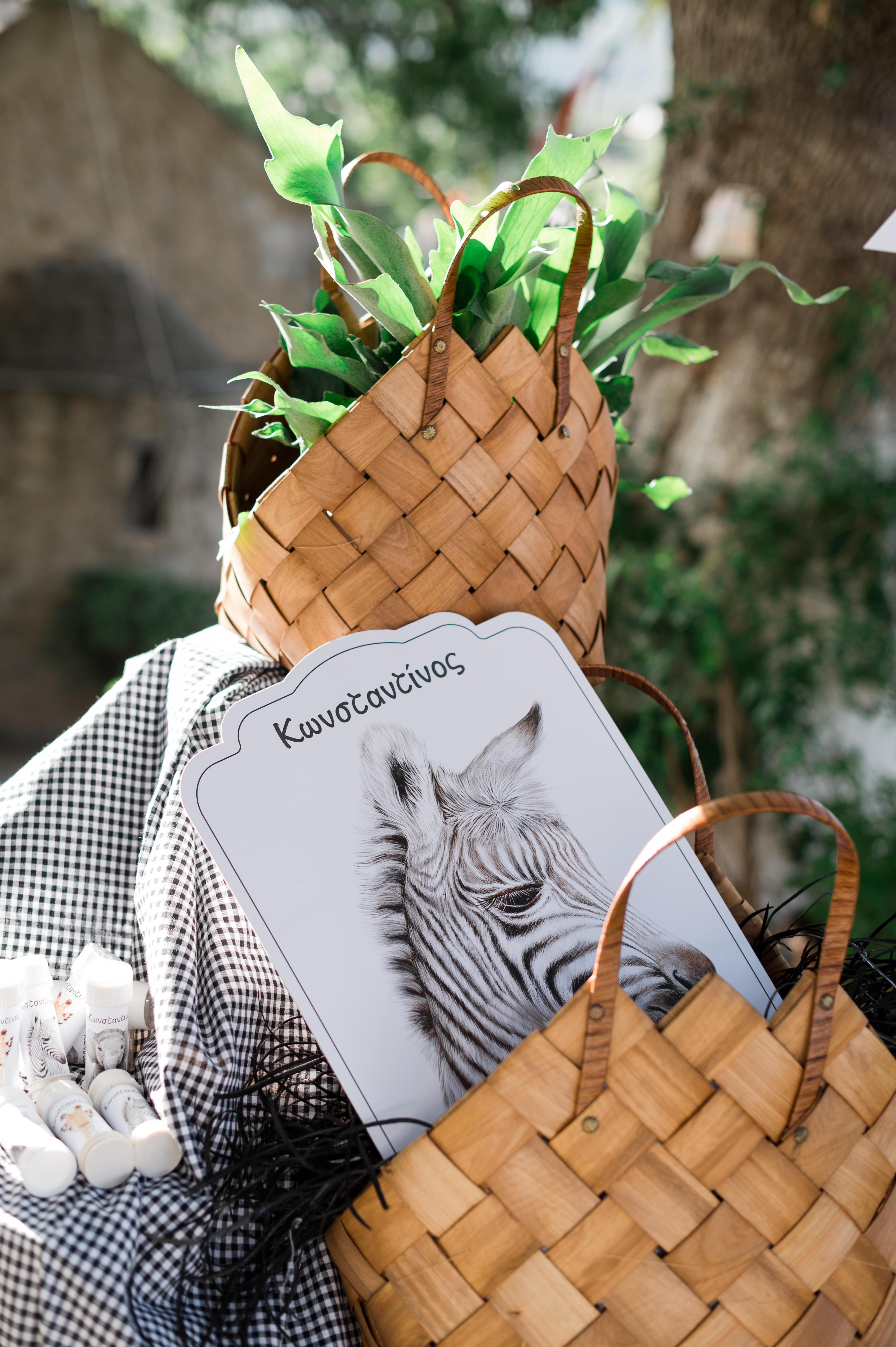 Η Βάπτιση του Κωνσταντίνου με θέμα Ζώα της Ζούγκλας