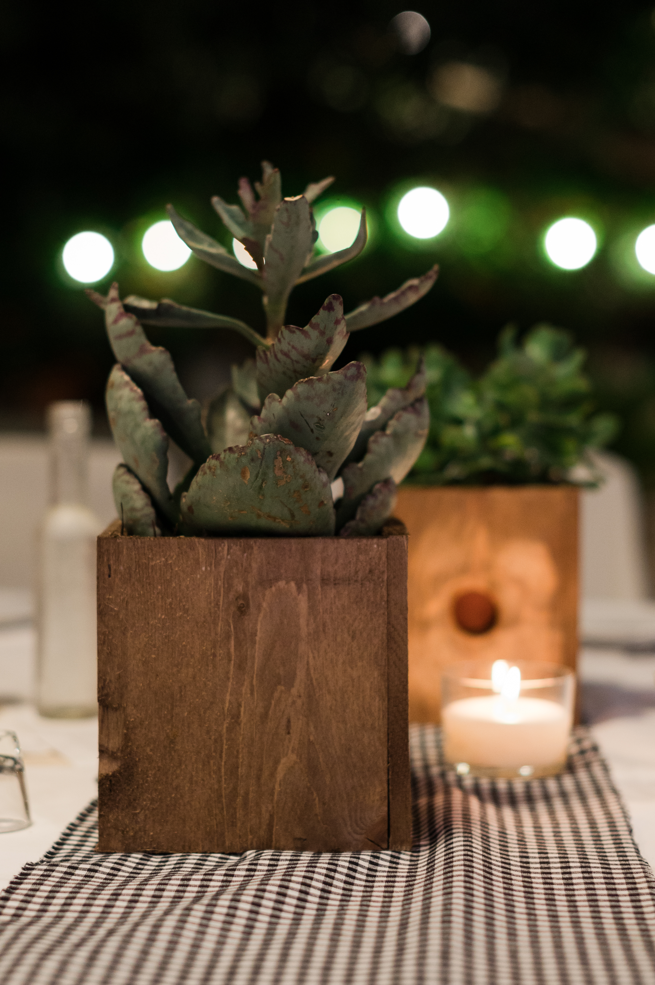 Η Βάπτιση του Κωνσταντίνου με θέμα Ζώα της Ζούγκλας