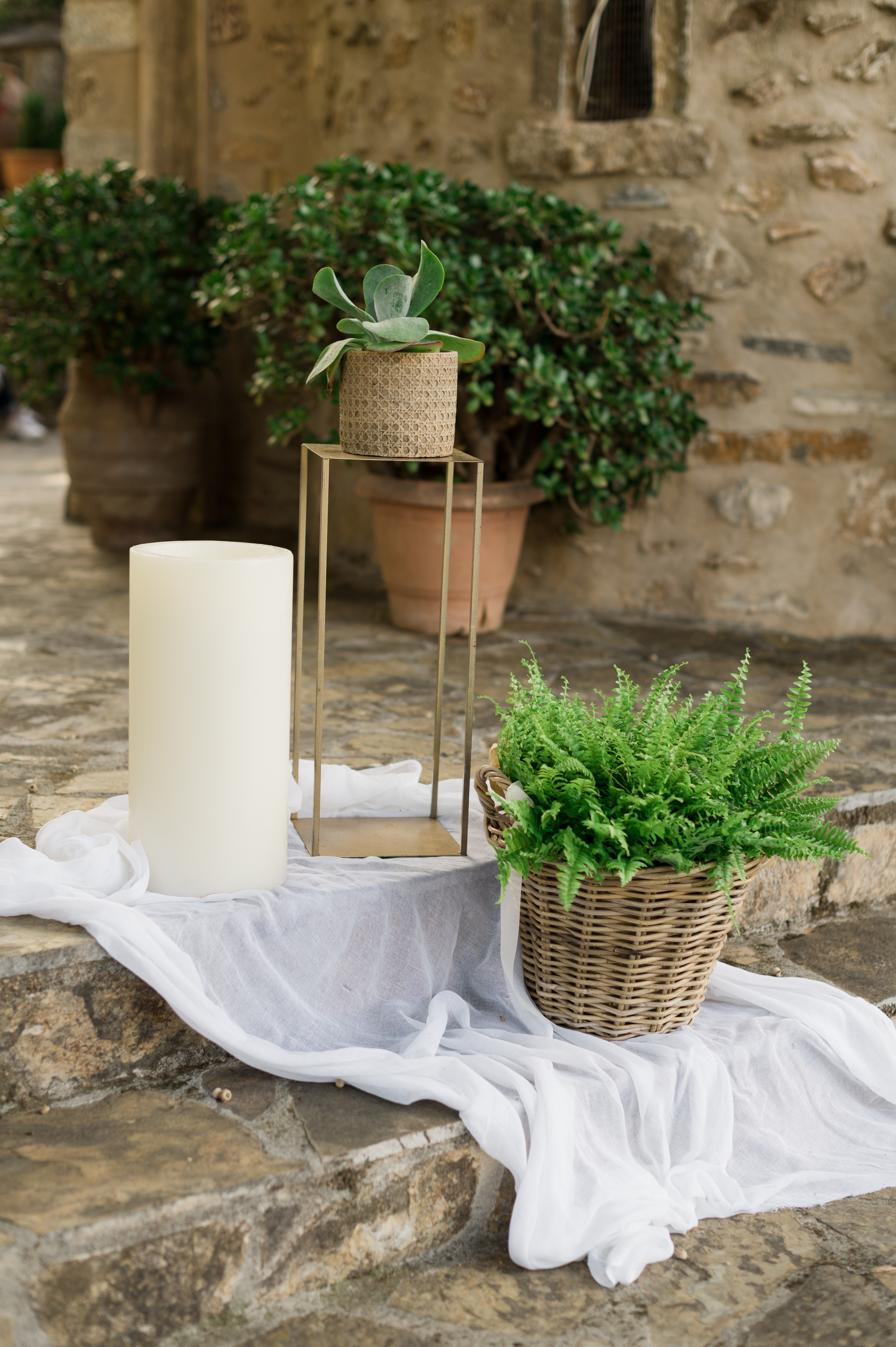 Η Βάπτιση του Κωνσταντίνου με θέμα Ζώα της Ζούγκλας