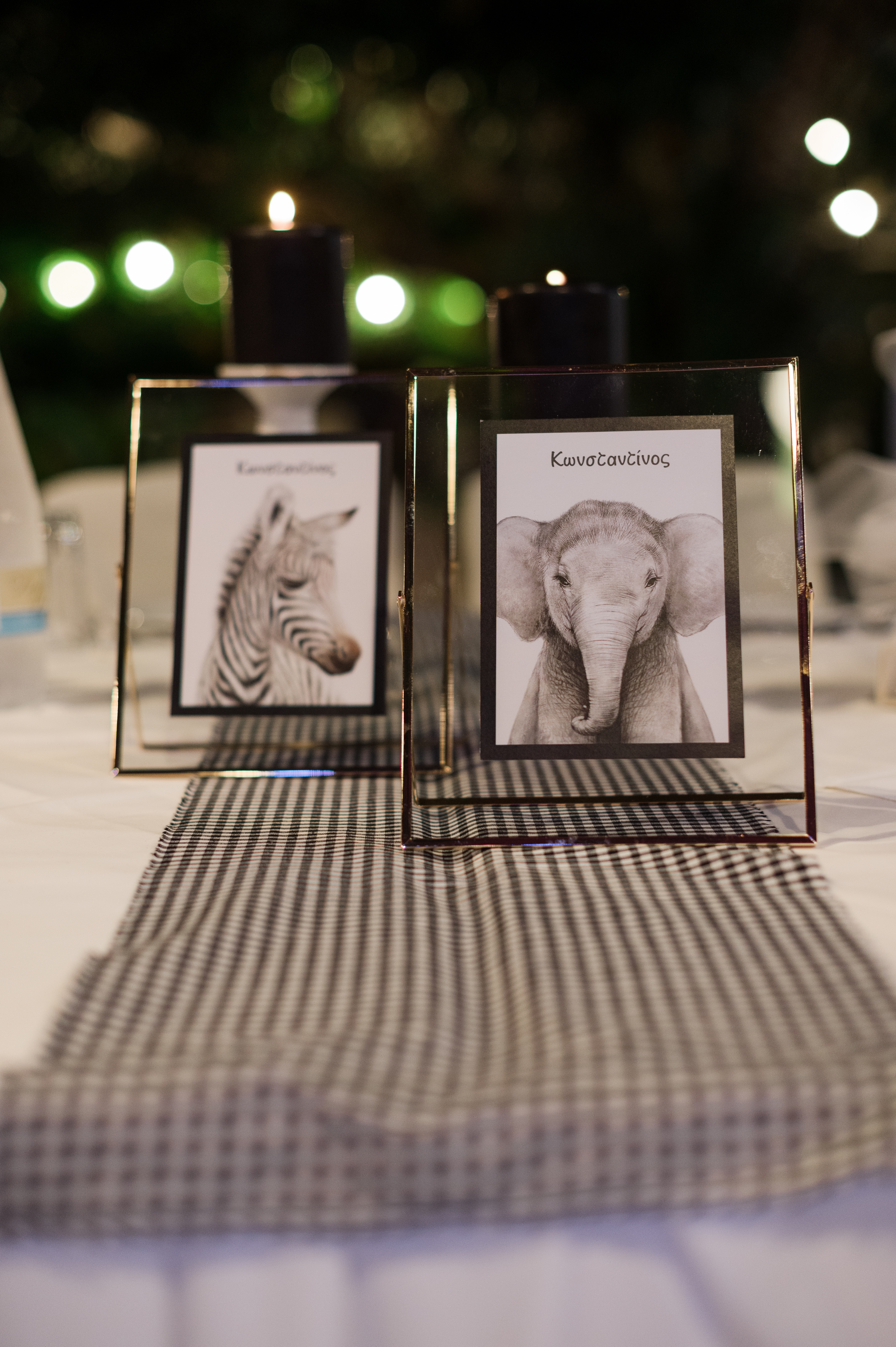 Η Βάπτιση του Κωνσταντίνου με θέμα Ζώα της Ζούγκλας