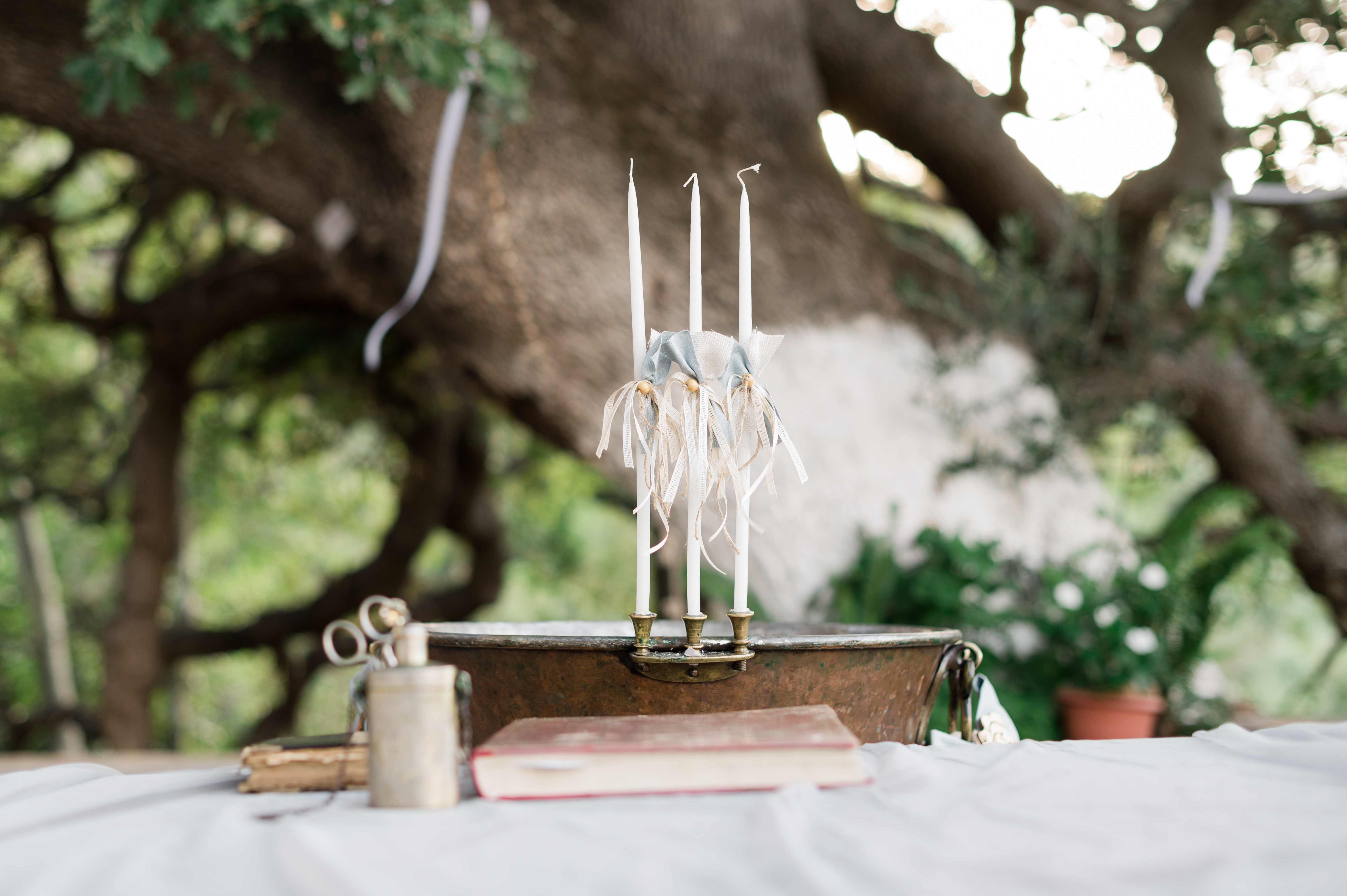 Η Βάπτιση του Κωνσταντίνου με θέμα Ζώα της Ζούγκλας