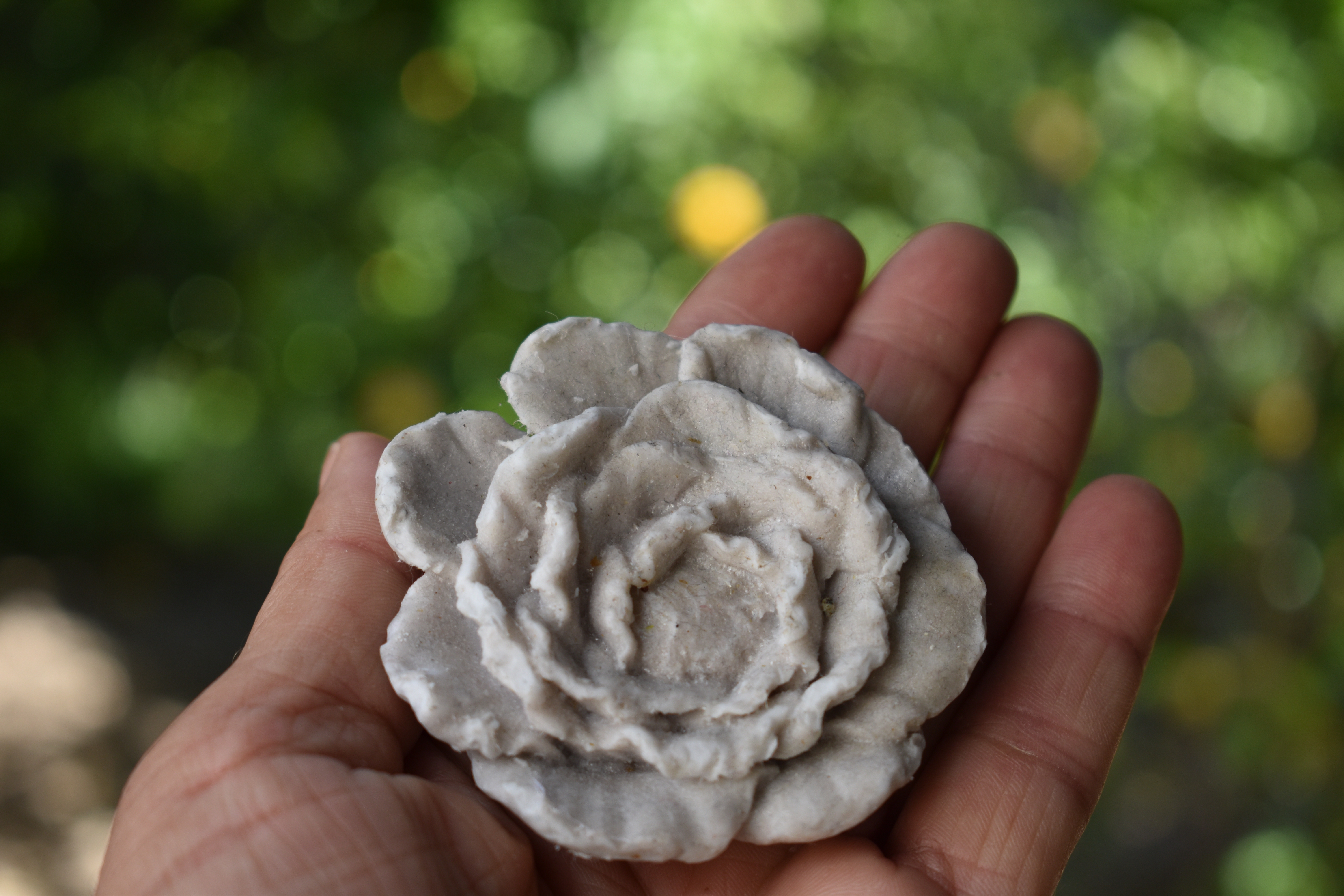 Βάπτιση του Δημήτρη